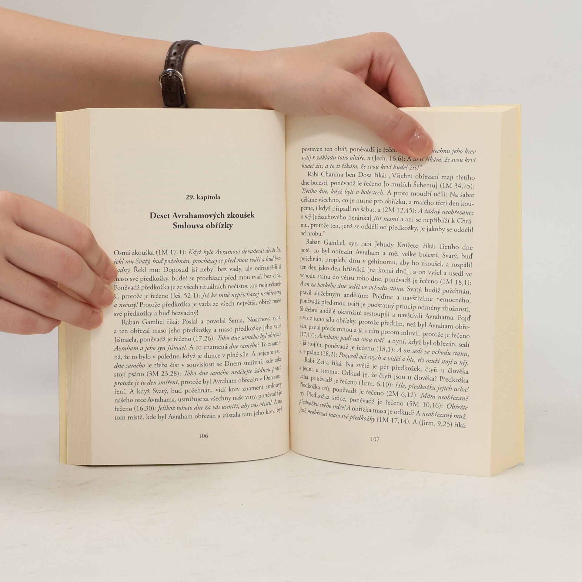 Autorenkollektiv Kapitoly rabiho Eliezera - Midraš