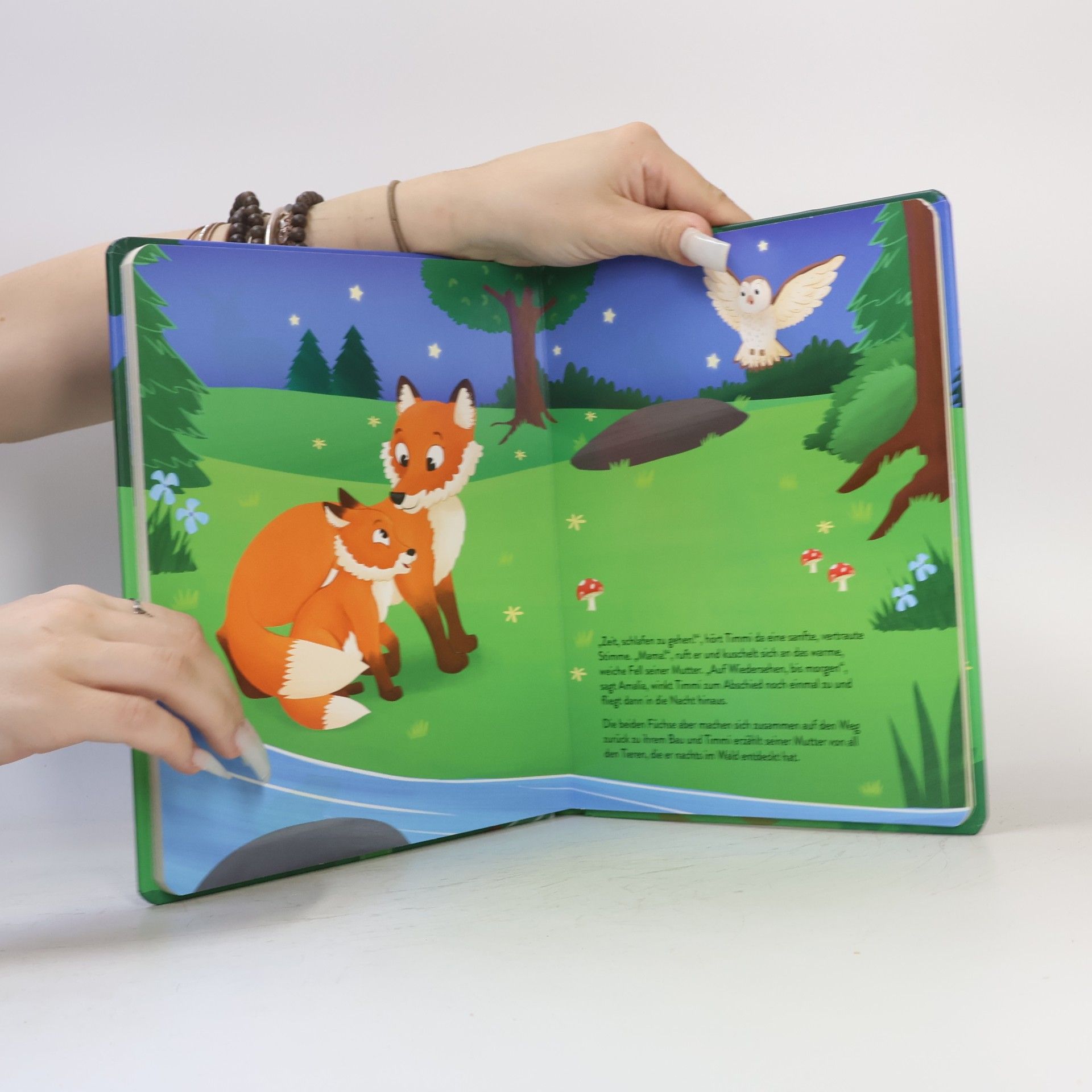 Autorenkollektiv Mit Timmi Fuchs bei Nacht im Wald