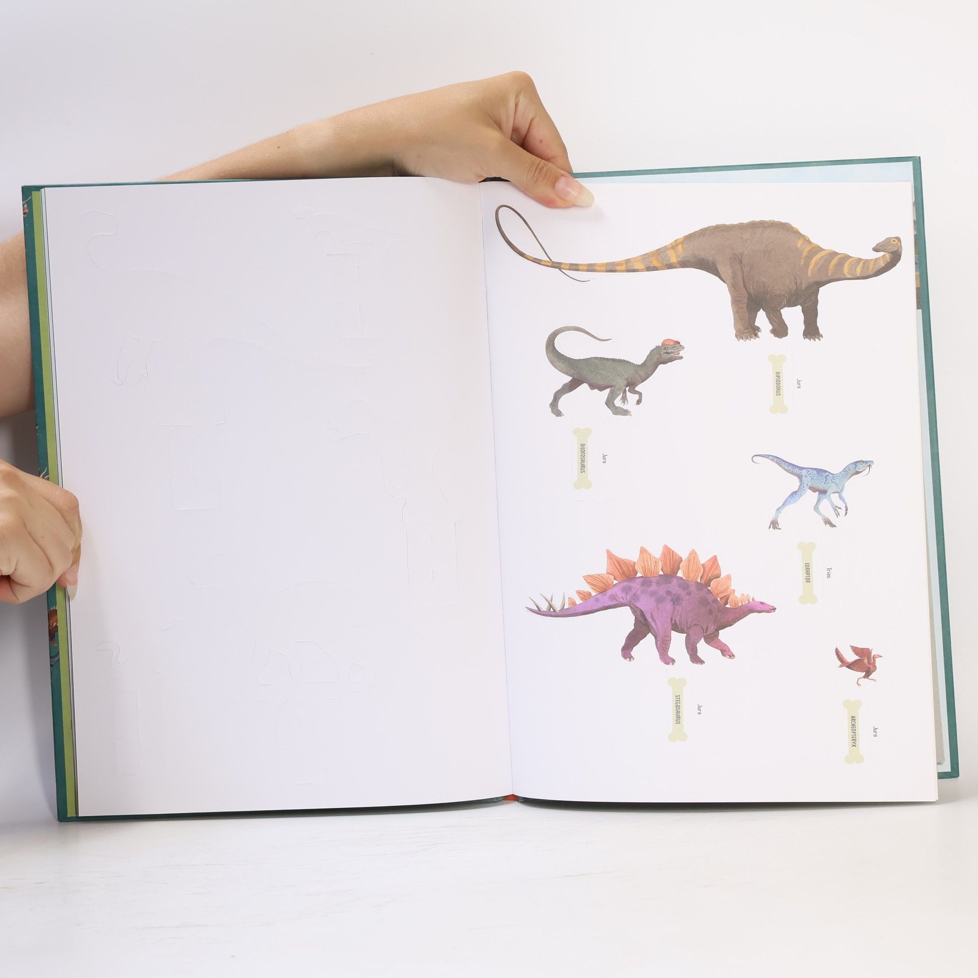 Richard Ferguson Úžasná doba dinosaurů