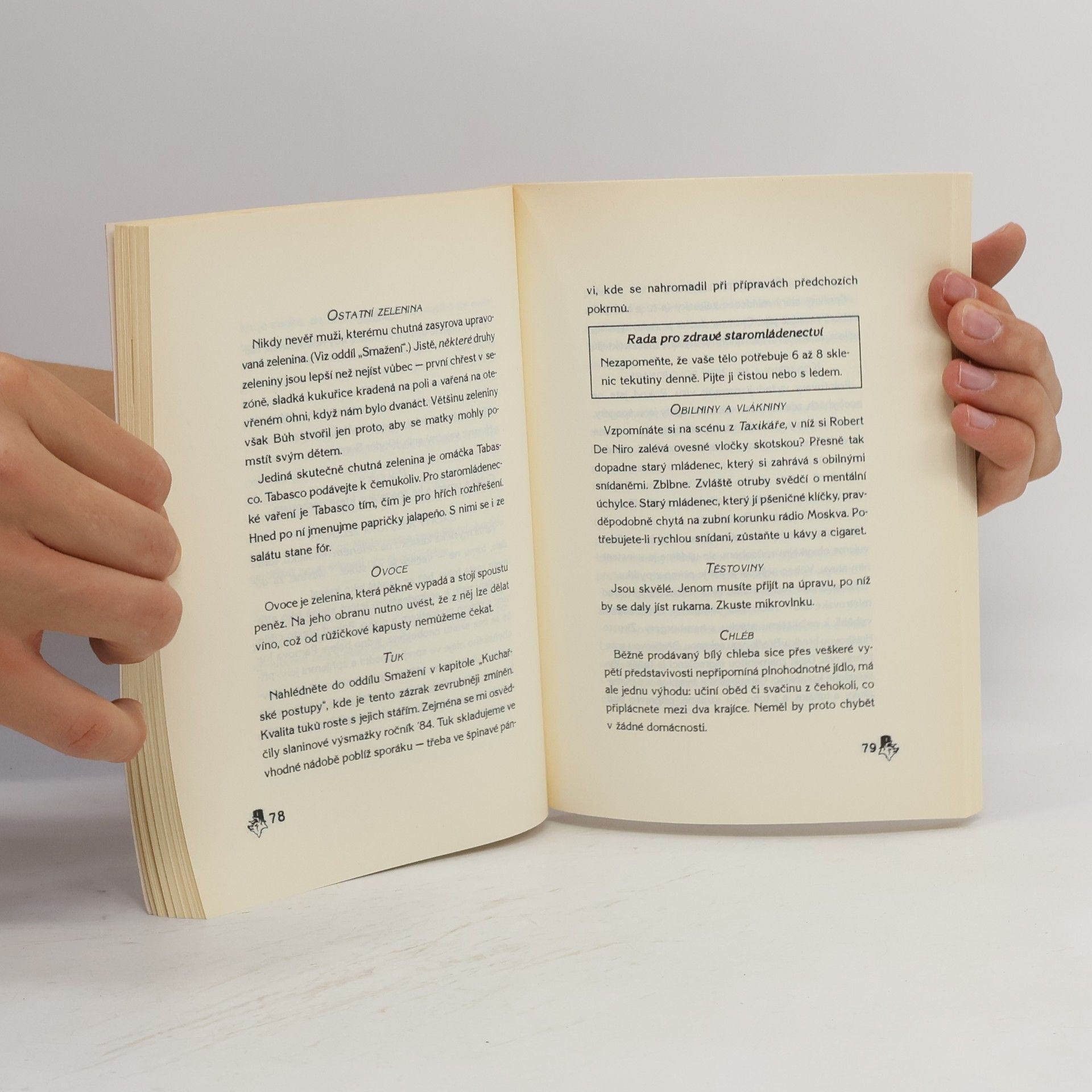 P. J. O. Rourke Průvodce domácností starého mládence