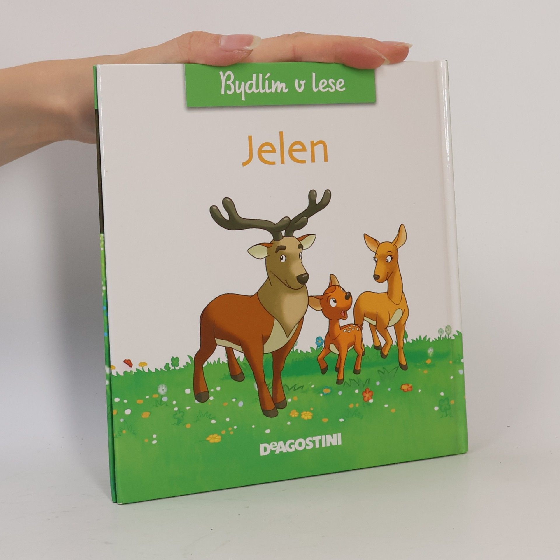 kolektiv Bydlím v lese 1. Jelen