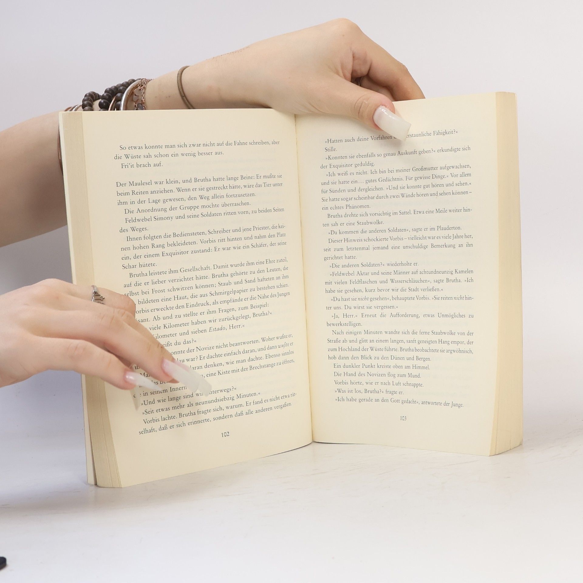 Terry Pratchett Einfach göttlich