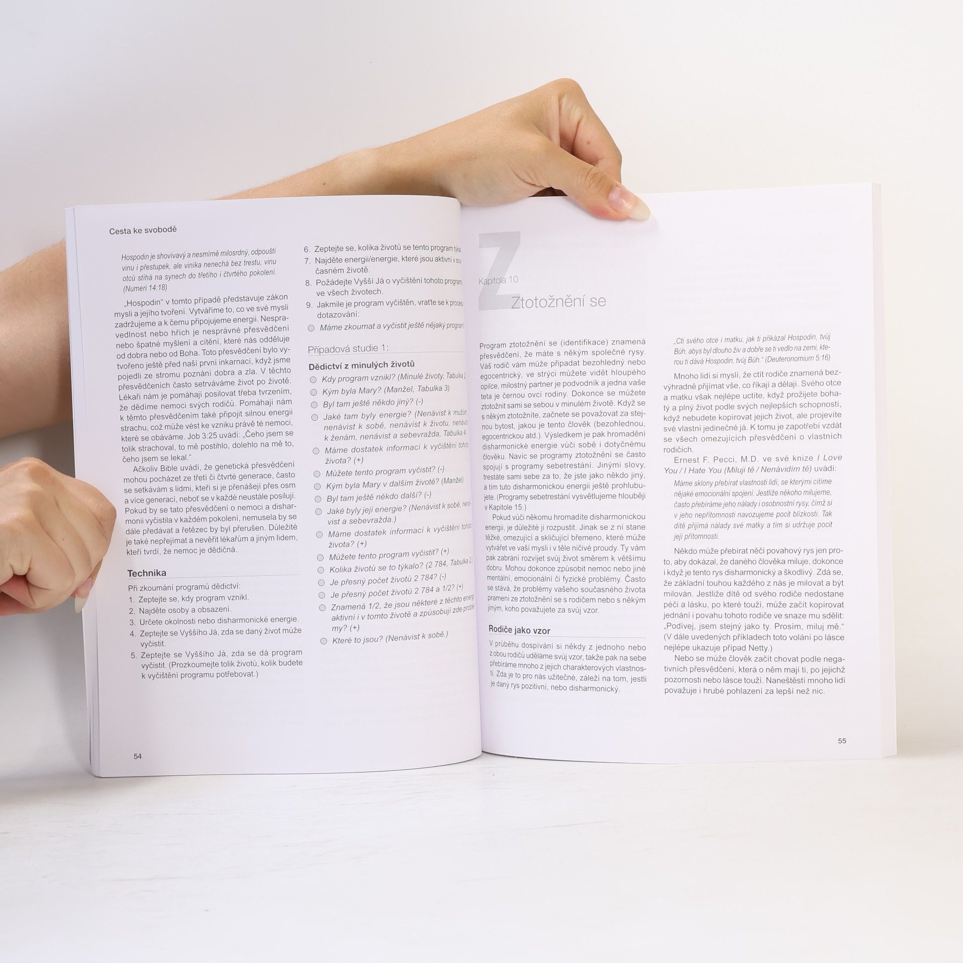 Robert E. Detzler Cesta ke svobodě : vyčištění záznamů vaší duše