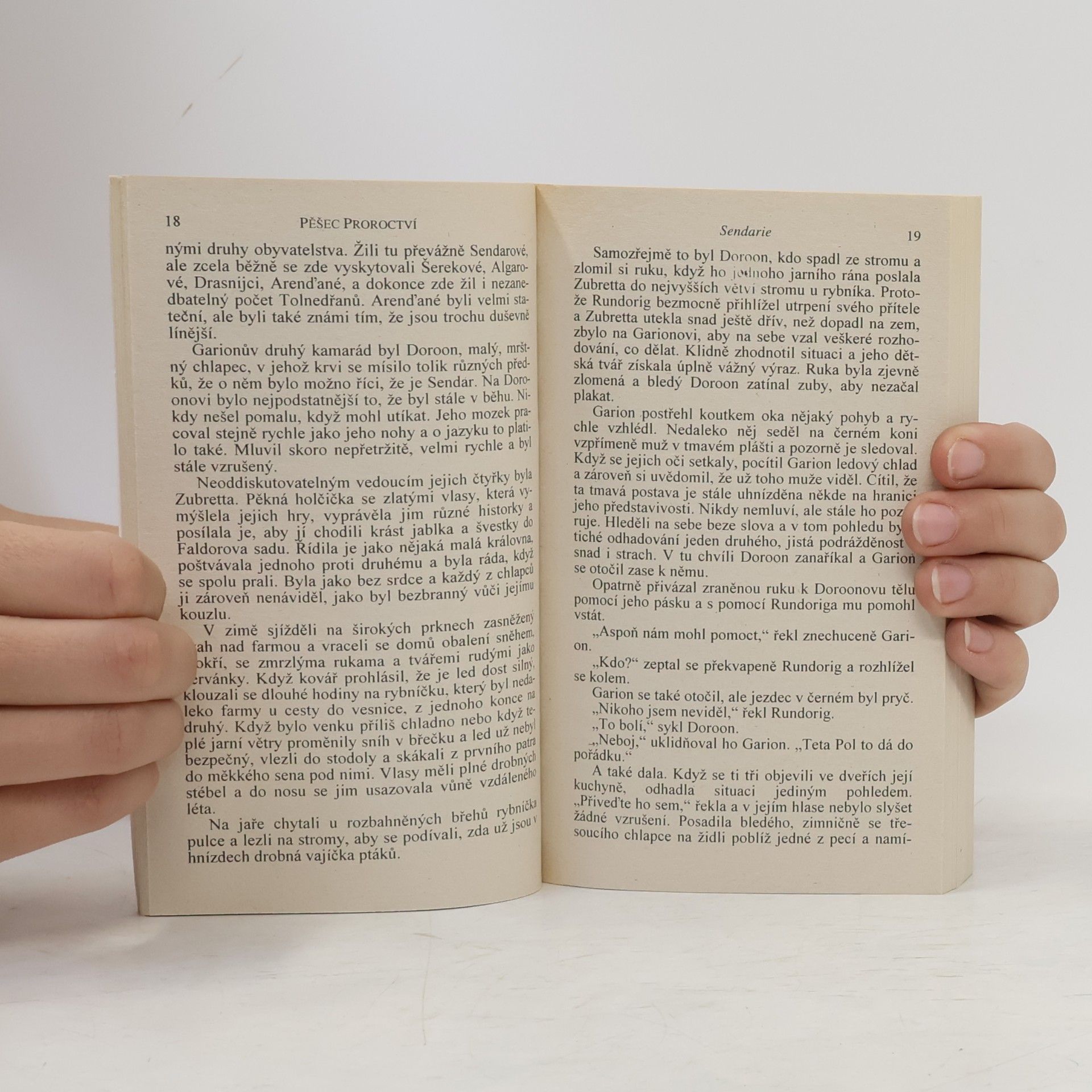David Eddings Pěšec proroctví. První kniha Belgariad