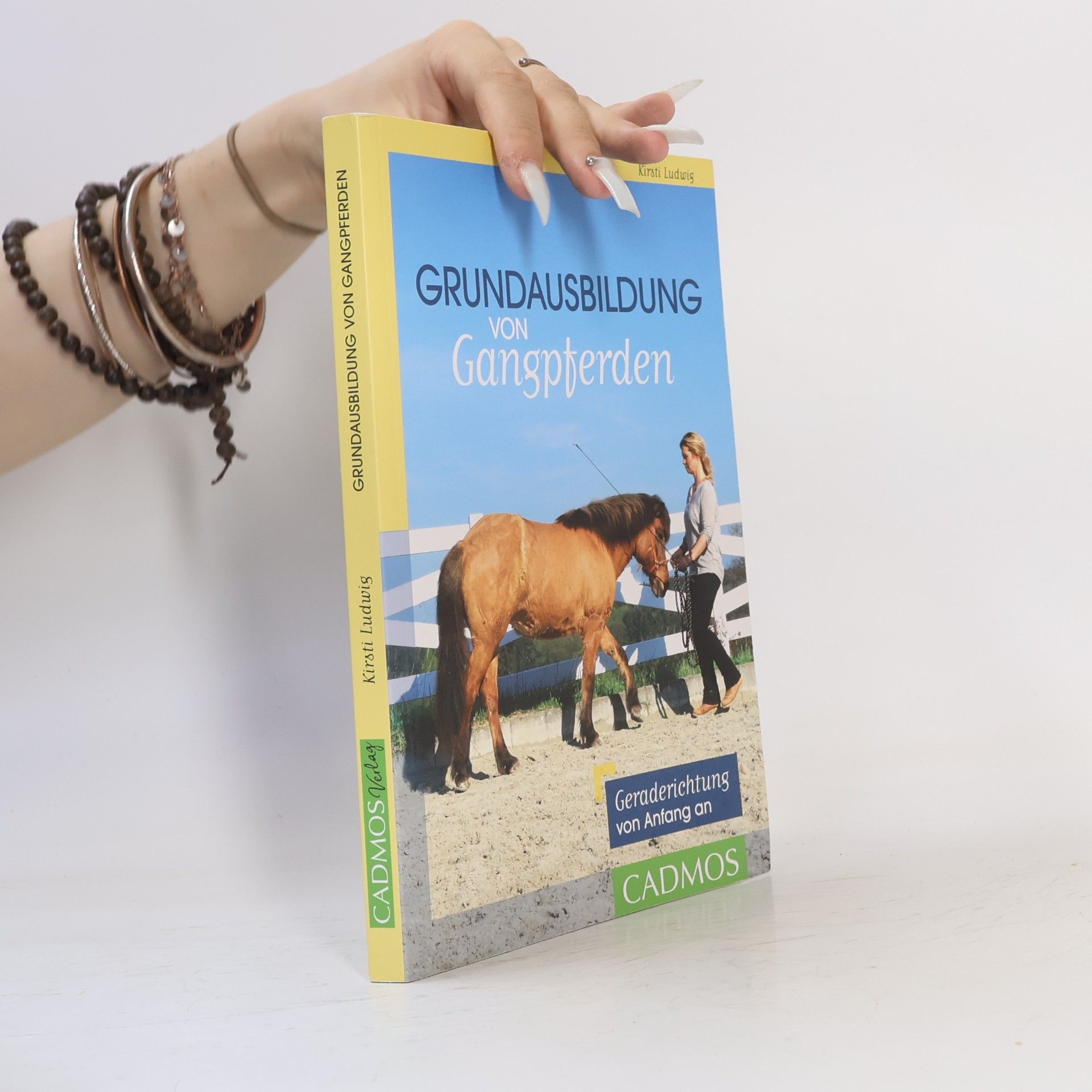 Kirsti Ludwig Grundausbildung von Gangpferden
