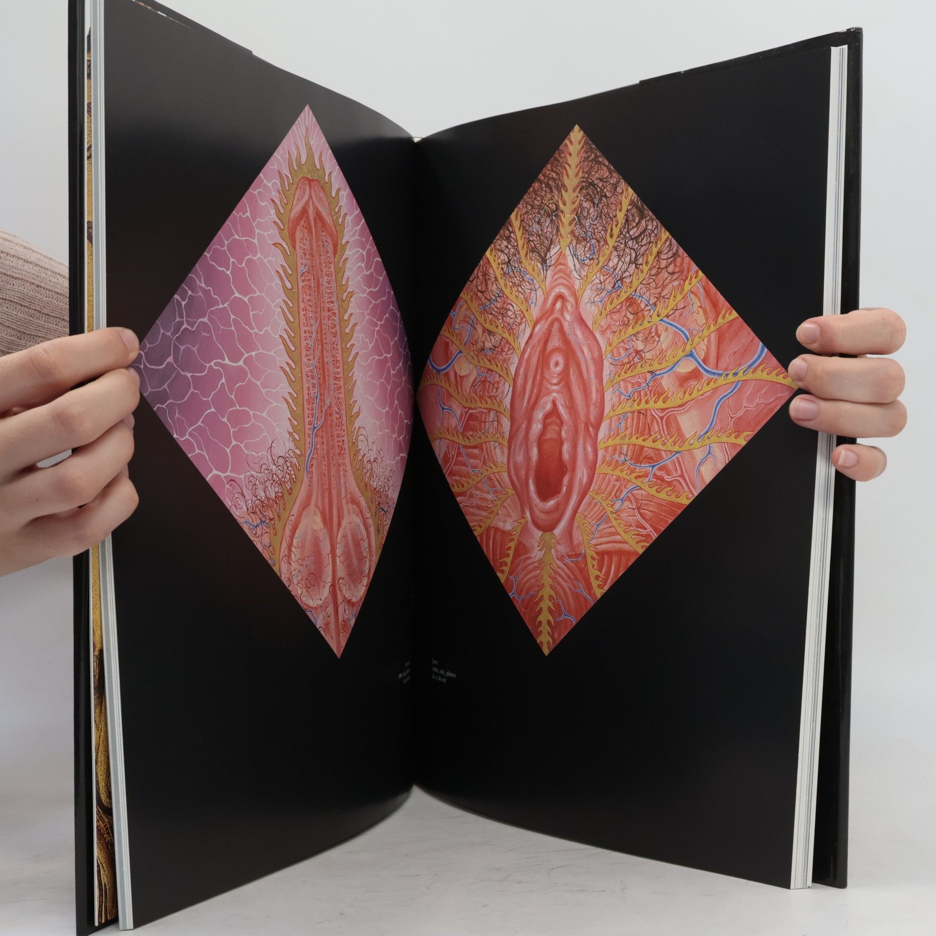 Alex Grey Transfigurace