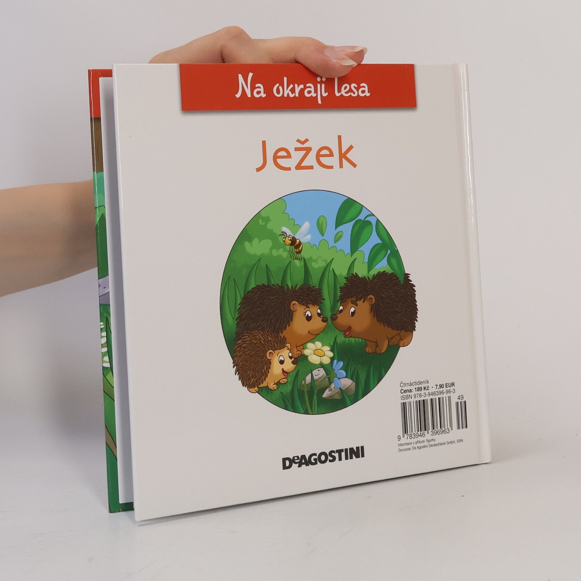 Kolektiv autorů Na kraji lesa 8. Ježek
