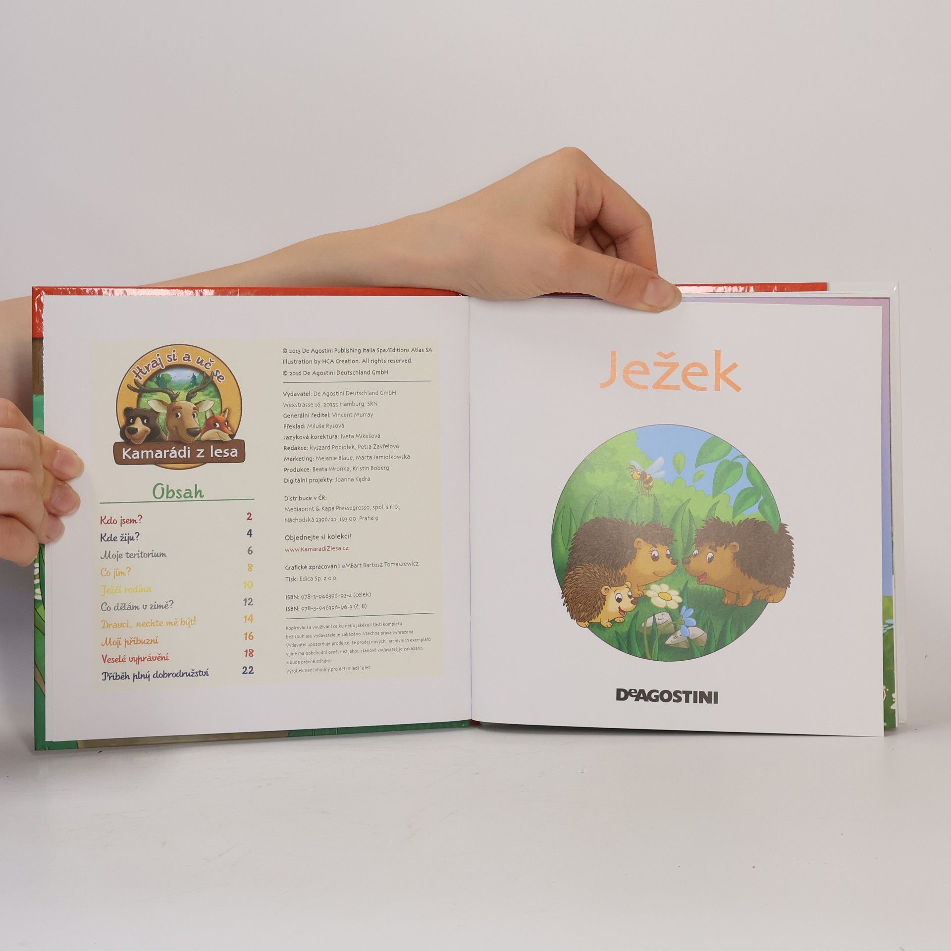 Kolektiv autorů Na kraji lesa 8. Ježek