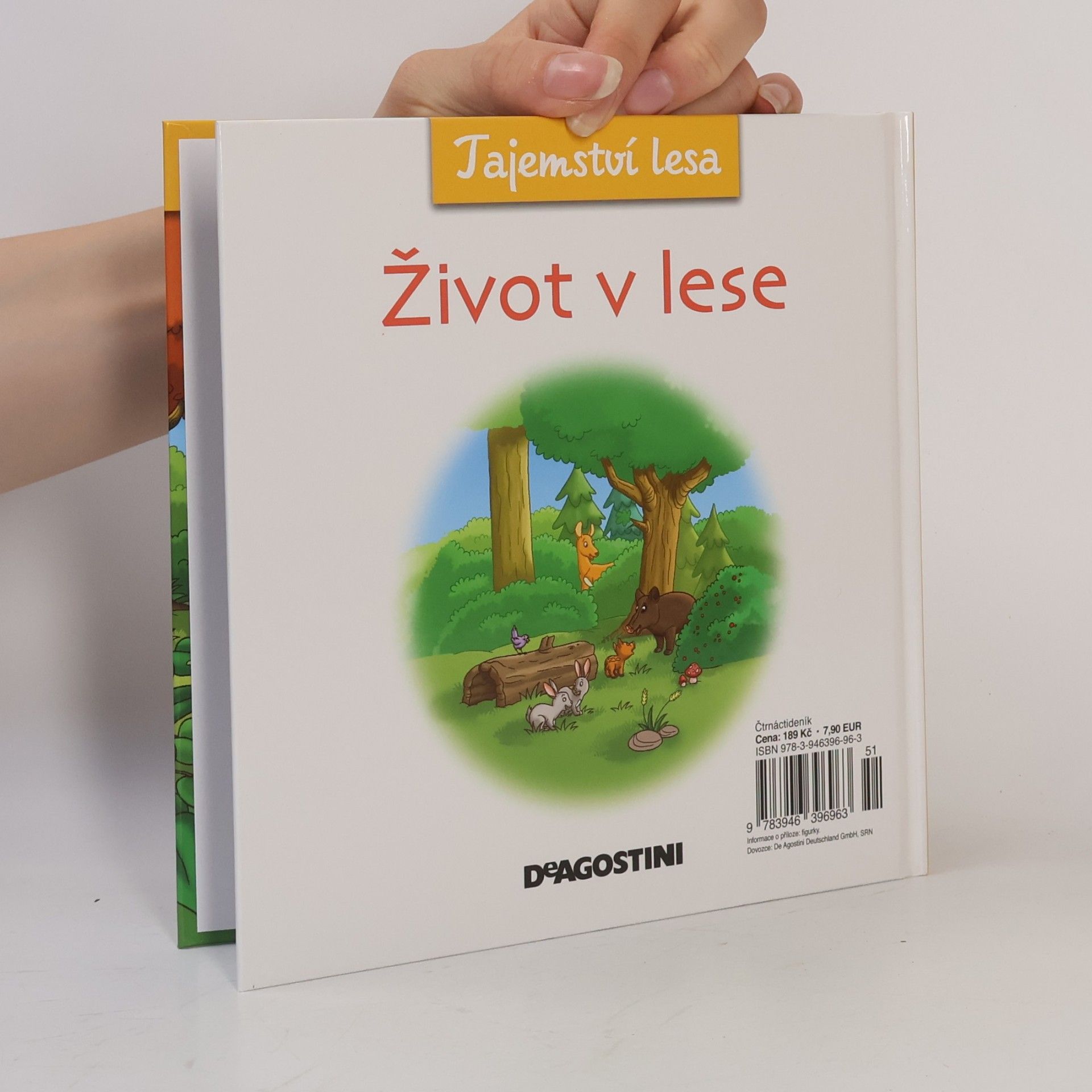 Kolektiv autorů Tajemství lesa 9. Život v lese
