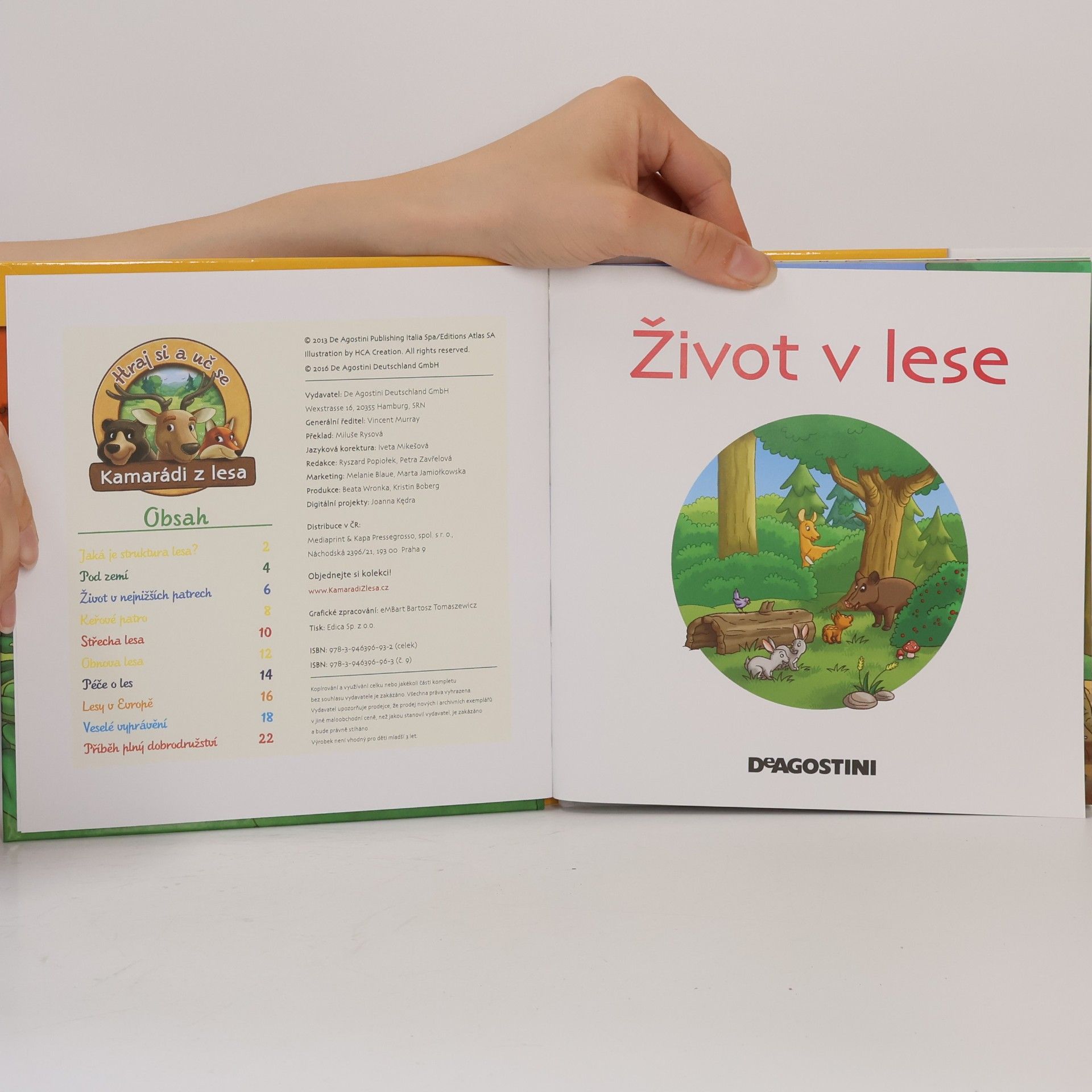 Kolektiv autorů Tajemství lesa 9. Život v lese