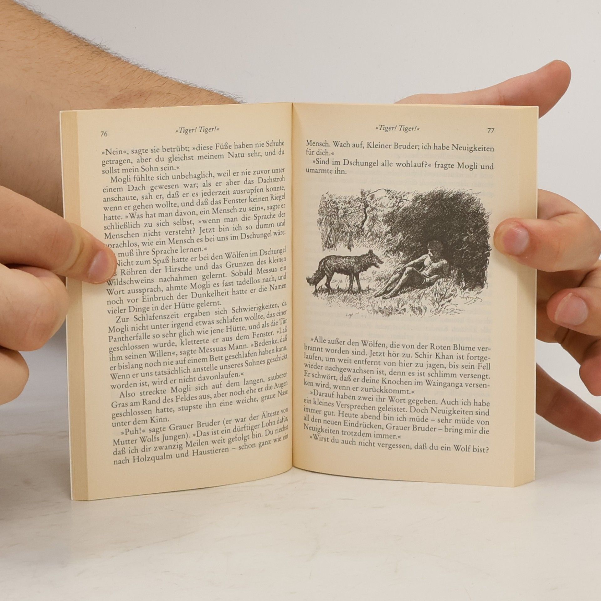 Rudyard Kipling Das Dschungelbuch
