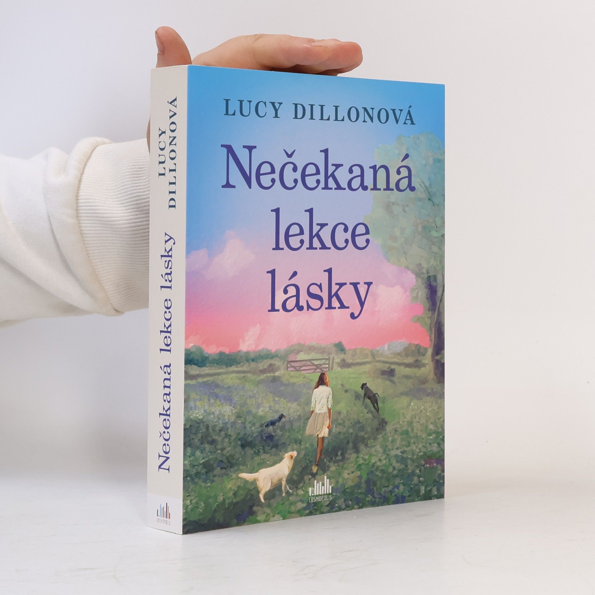Lucy Dillon Nečekaná lekce lásky