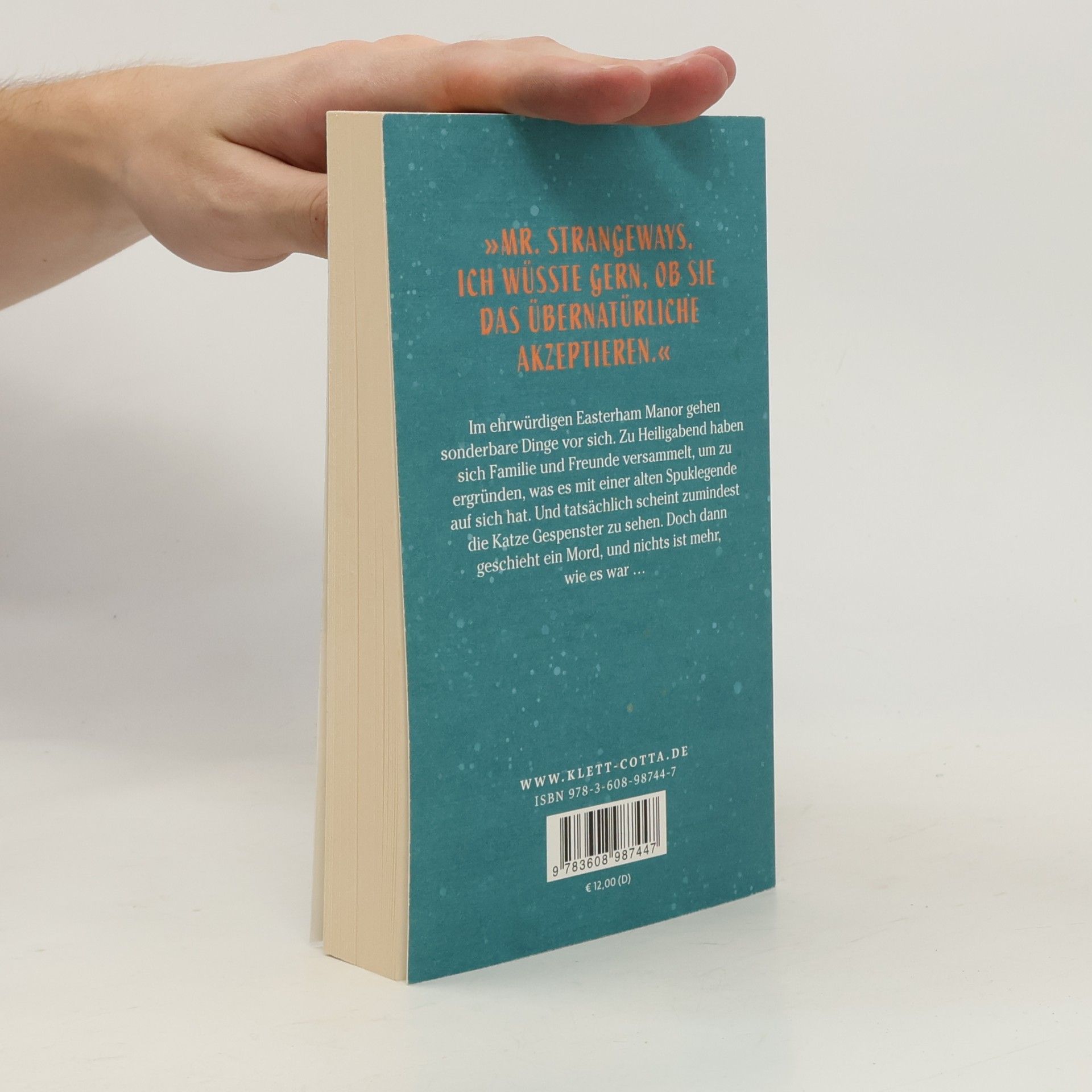 Nicholas Blake Das Geheimnis des Schneemanns