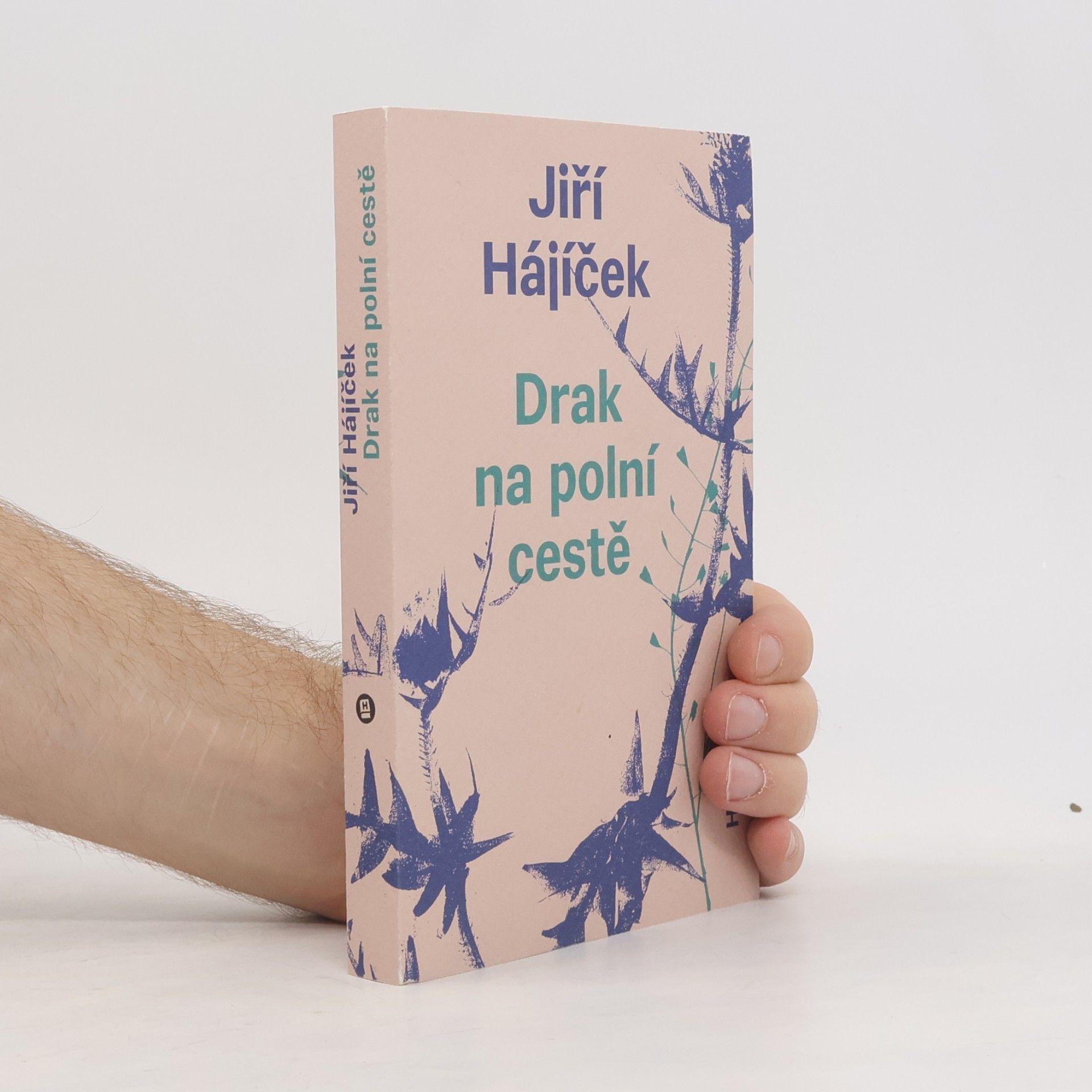 Jiří Hájíček Drak na polní cestě
