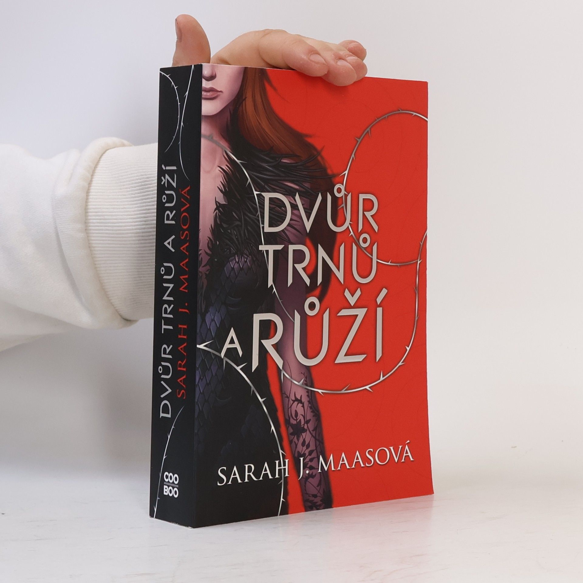 Sarah J. Maas Dvůr trnů a růží