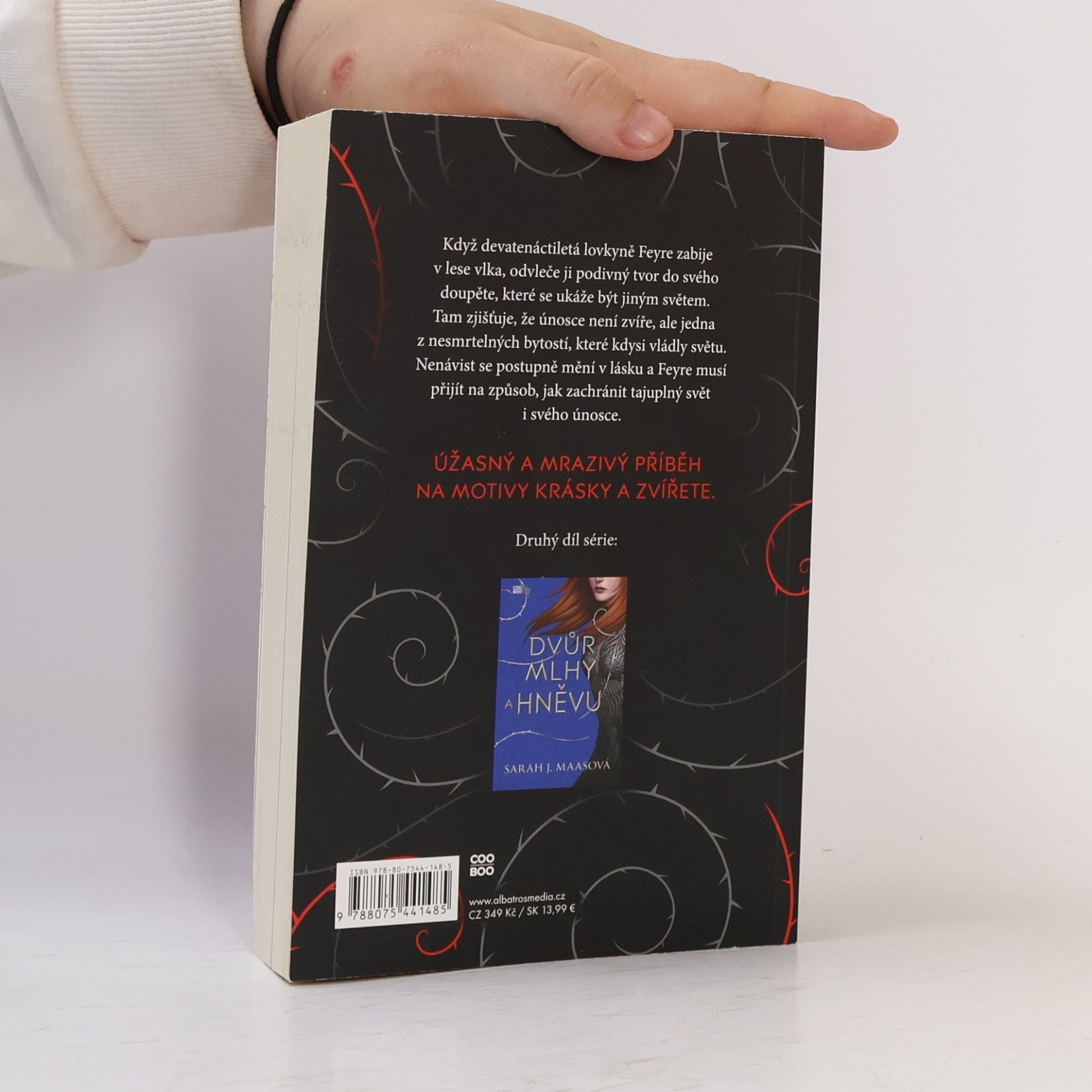 Sarah J. Maas Dvůr trnů a růží