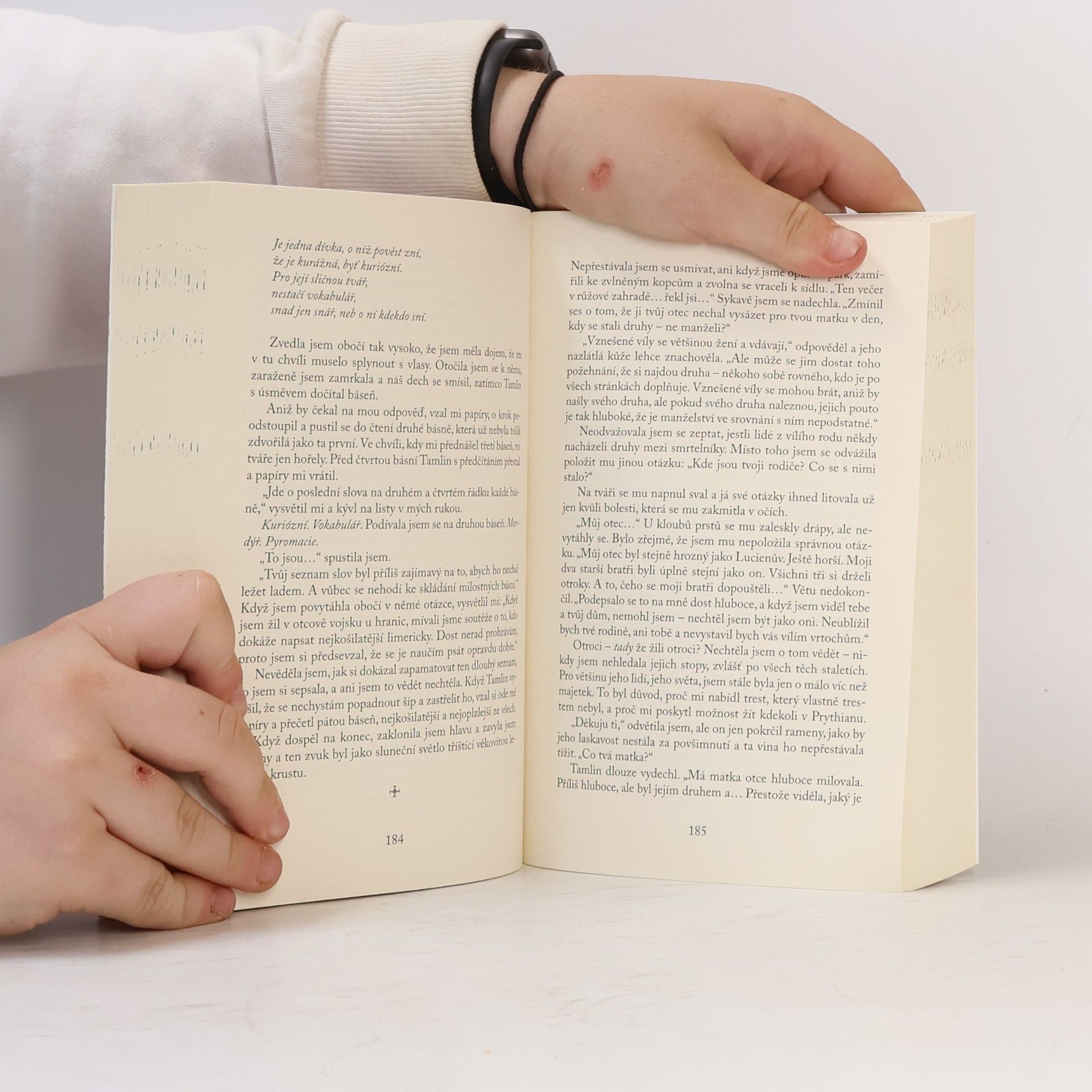 Sarah J. Maas Dvůr trnů a růží
