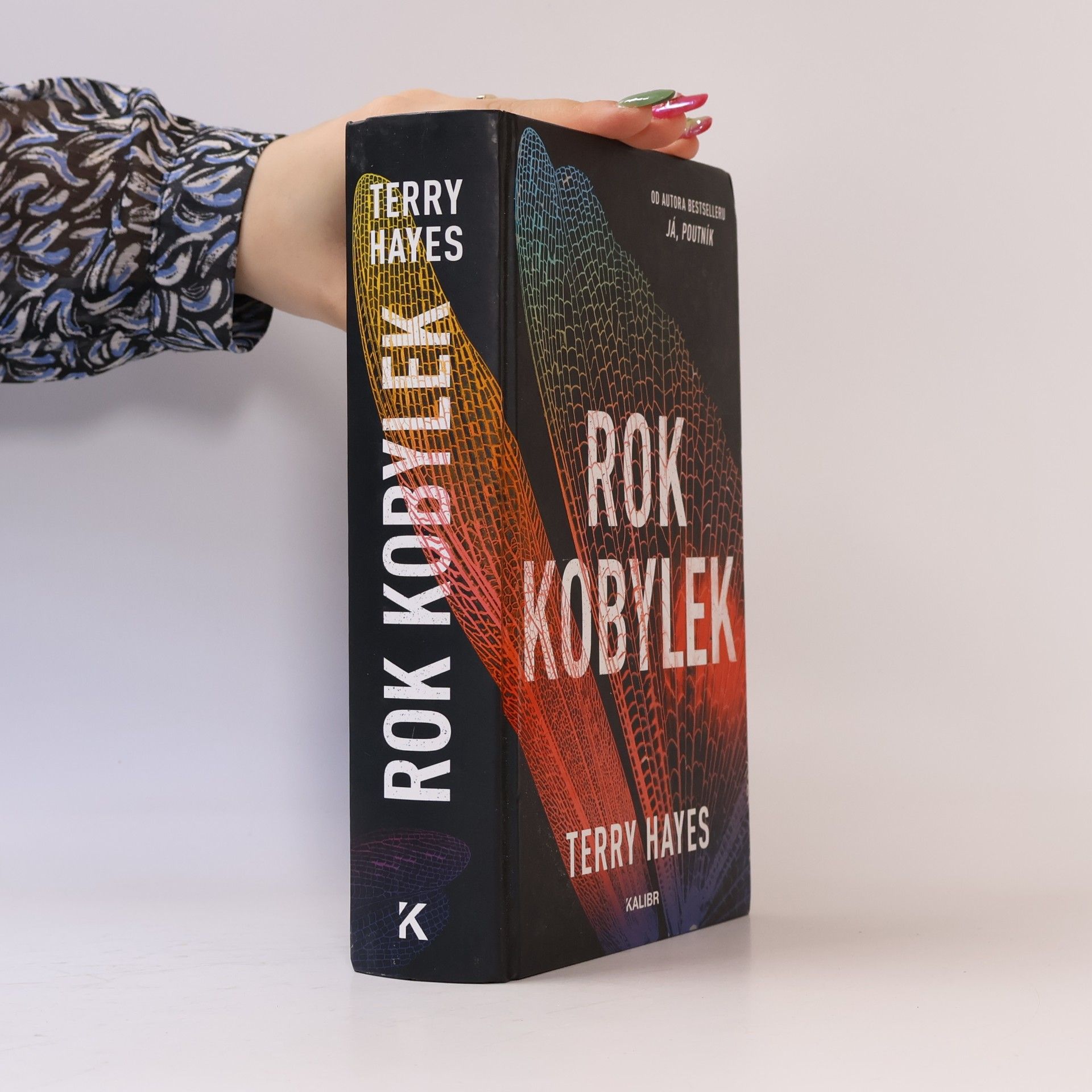 Terry Hayes Rok kobylek