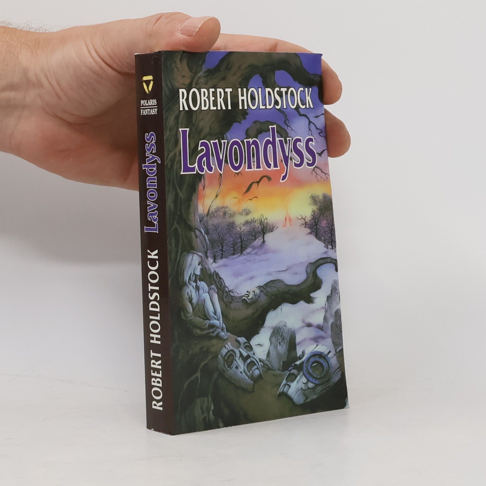 Robert Holdstock Lavondyss : cesta do neznámé země