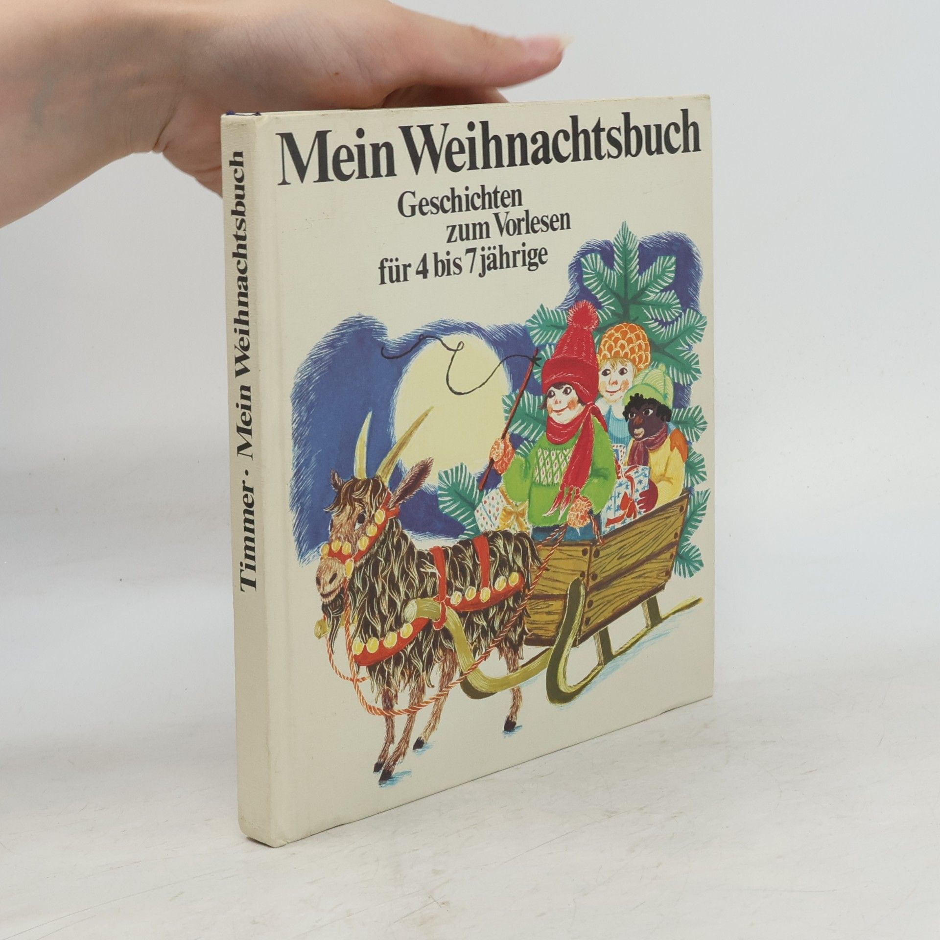 Autorenkollektiv Mein Weihnachtsbuch. Geschichten zum Vorlesen für 4 bis 7 jährige