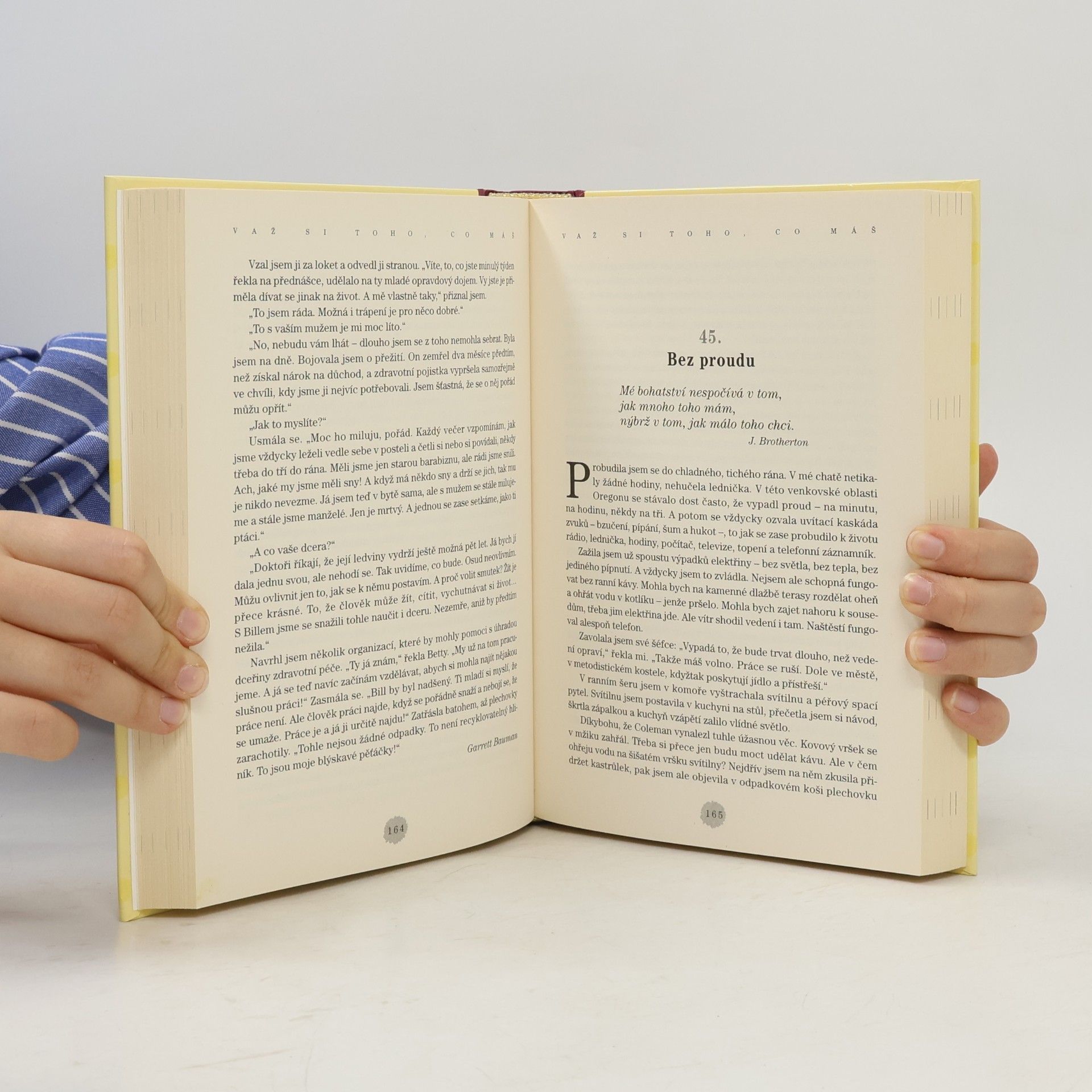 Jack Canfield Slepičí polévka pro duši: Myslete pozitivně