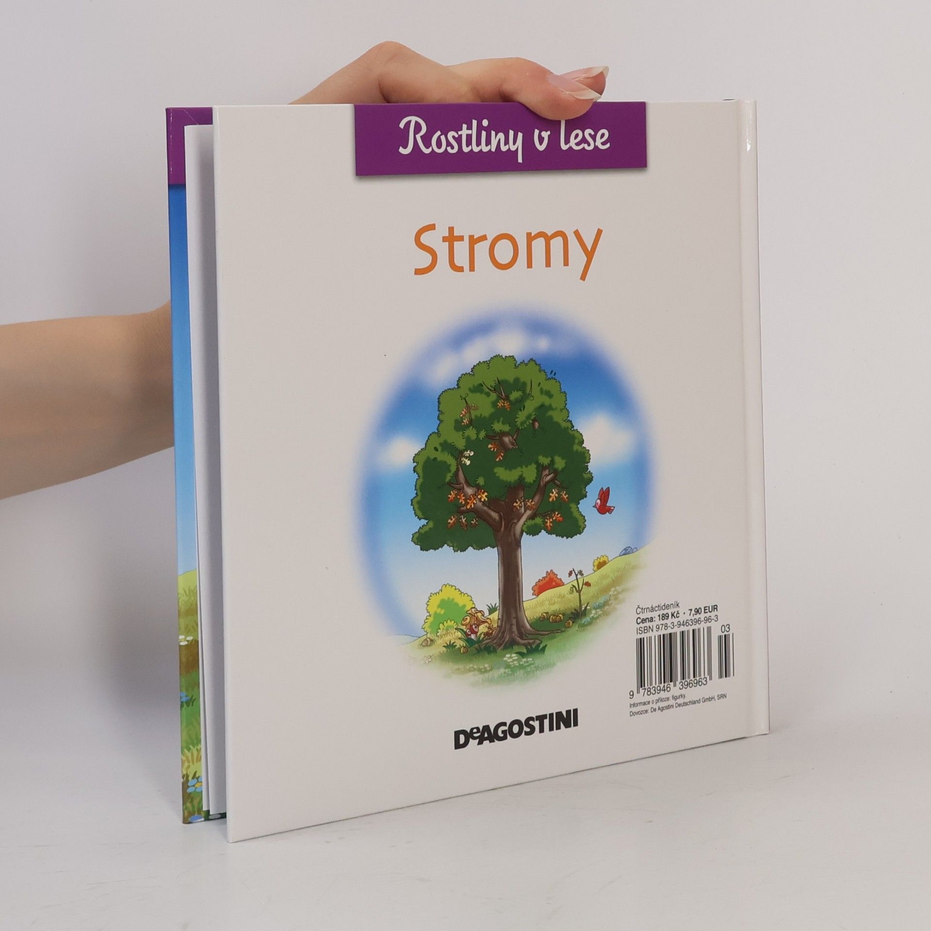 kolektiv Rostliny v lese 11. Stromy