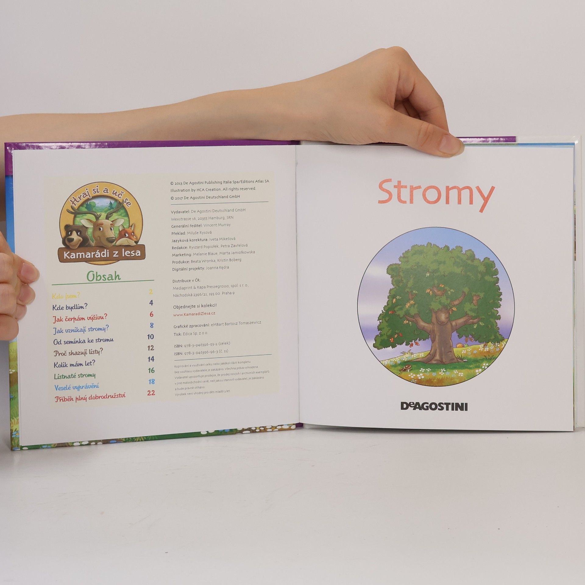 kolektiv Rostliny v lese 11. Stromy