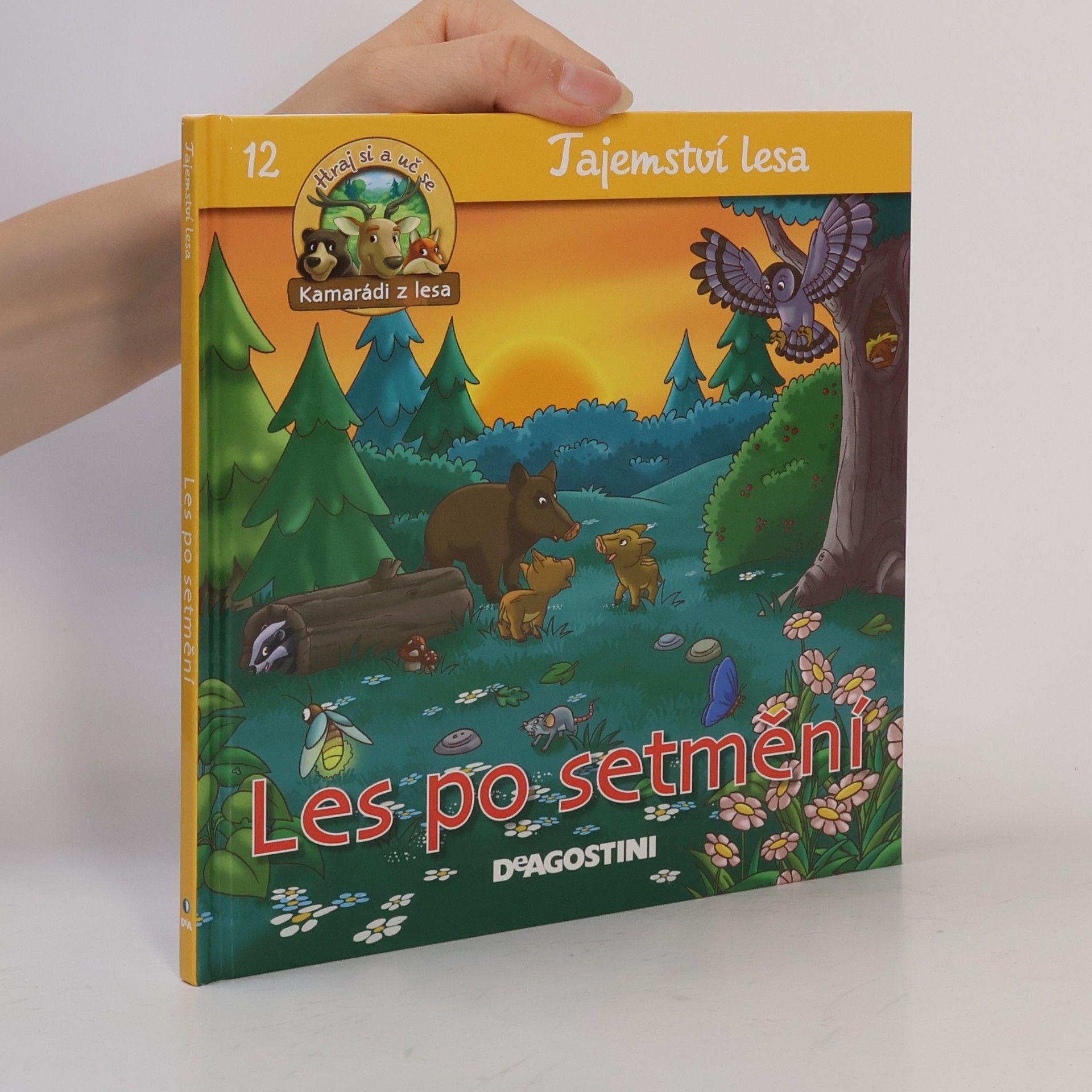 Kolektiv autorů Tajemství lesa 12. Les po setmění