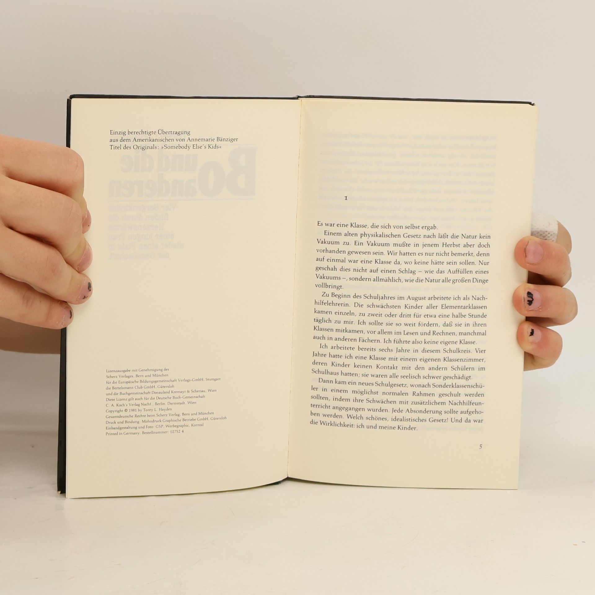 Torey L. Hayden Bo und die anderen