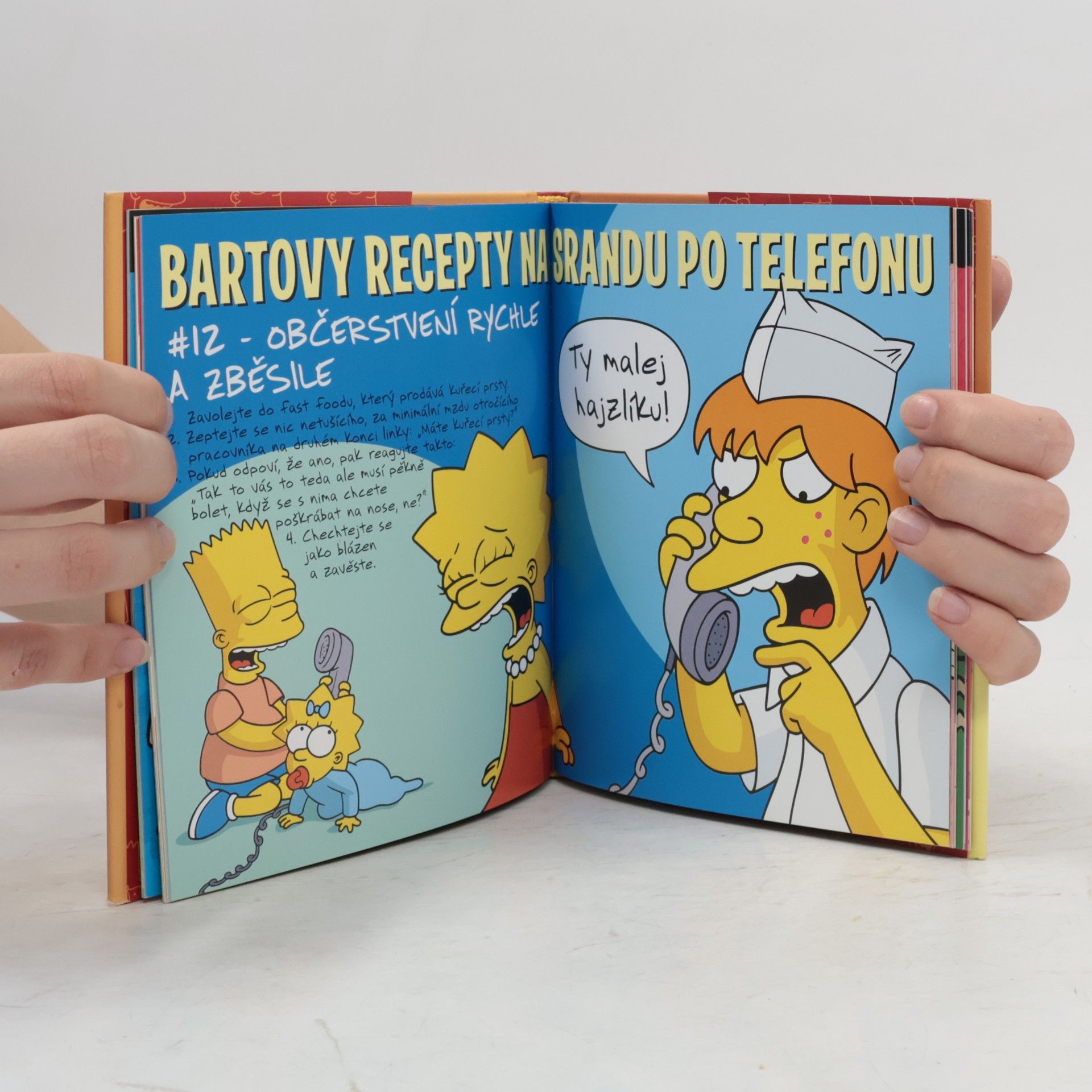 Matt Groening Bartova kniha