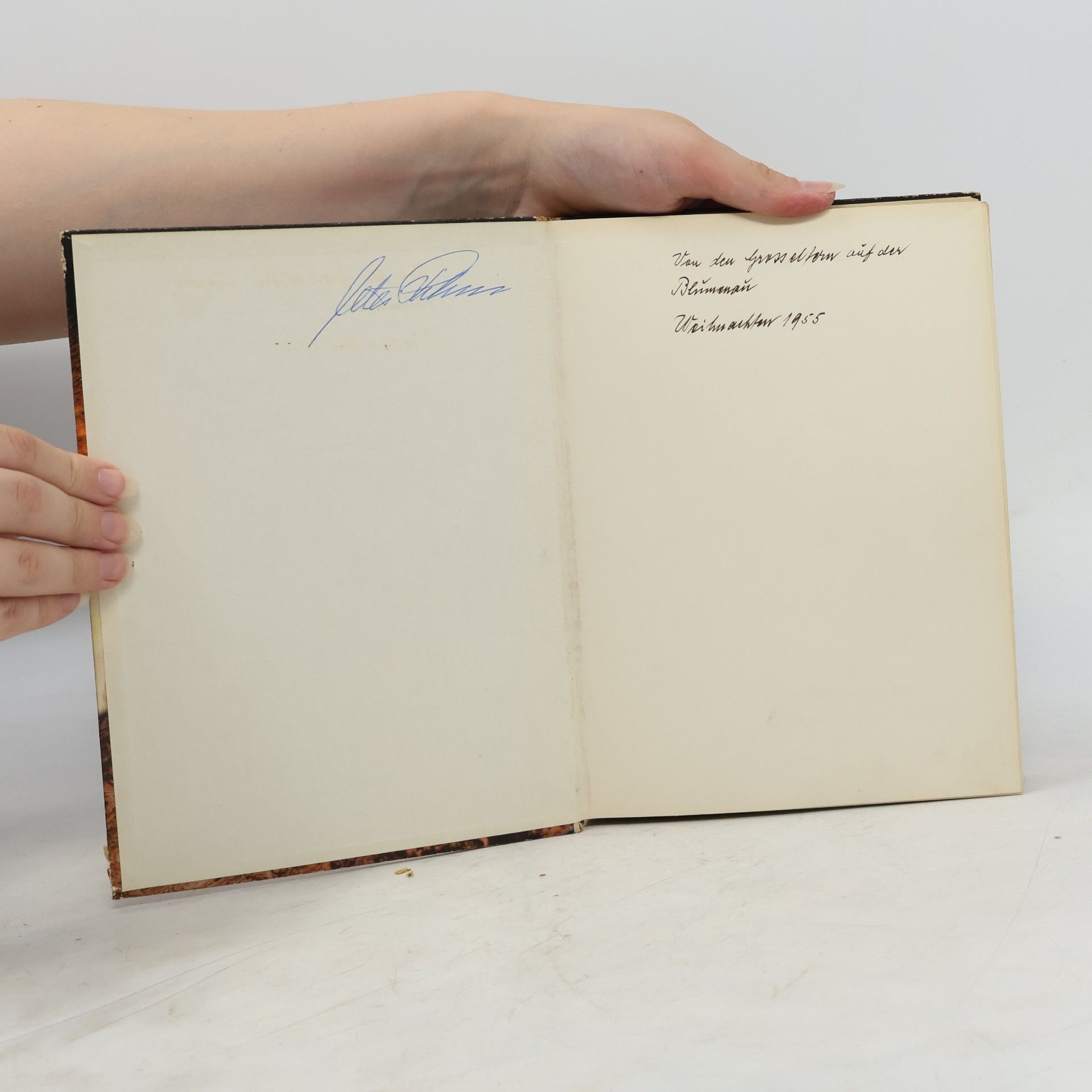 Manfred Hausmann Die Wüste lebt