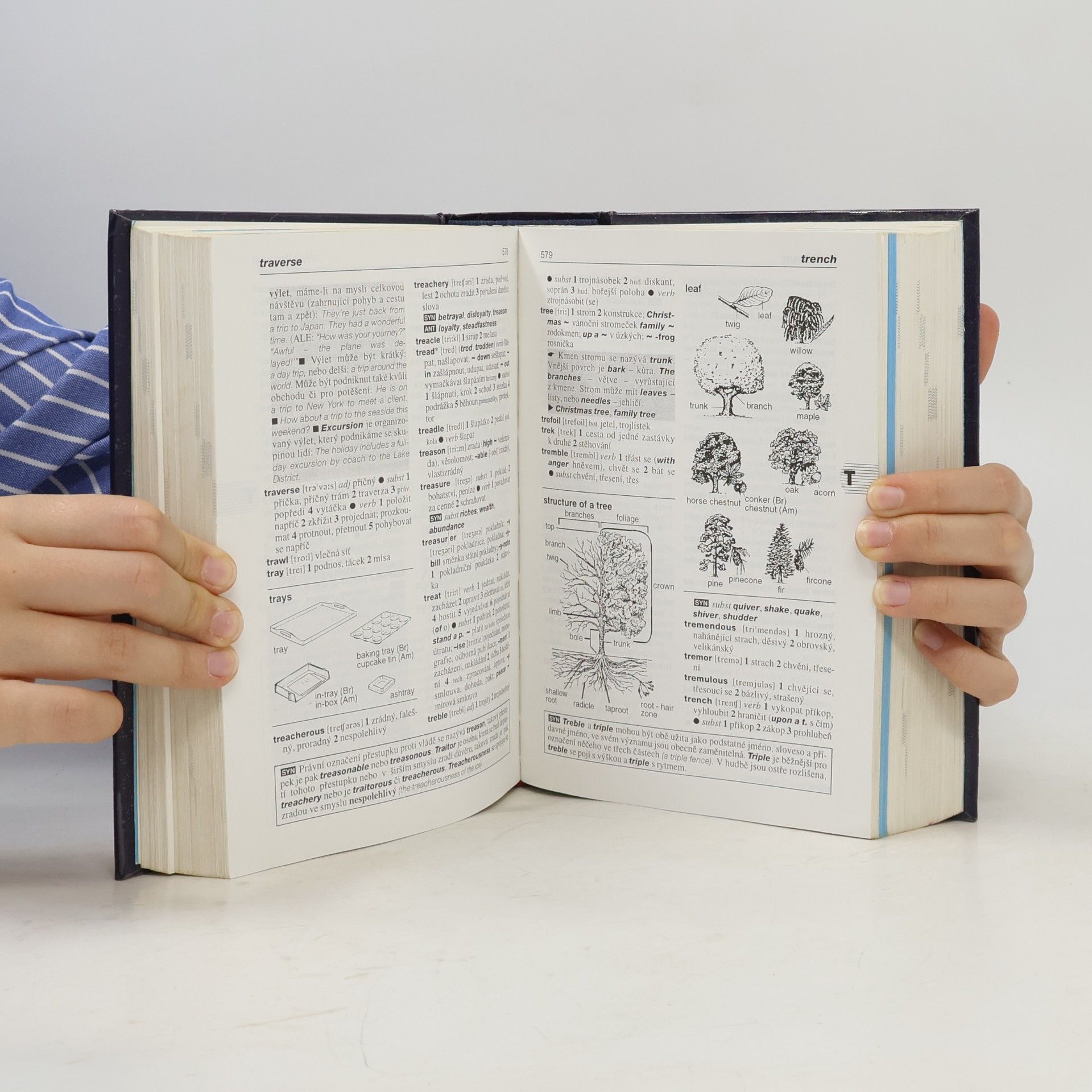 Autorenkollektiv Anglicko-český, česko-anglický slovník