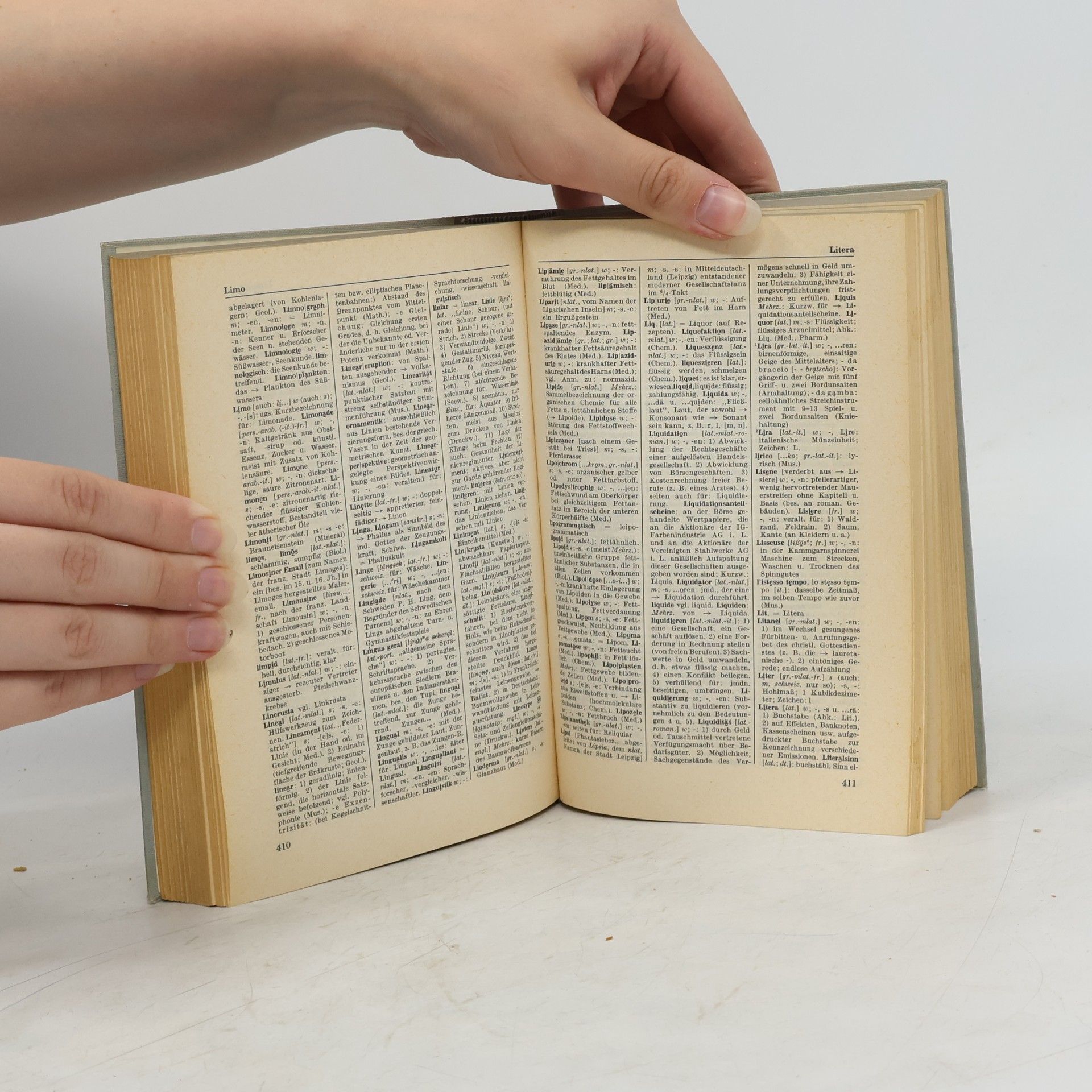 Autorenkollektiv Das große Duden. 5. Fremdwörterbuch
