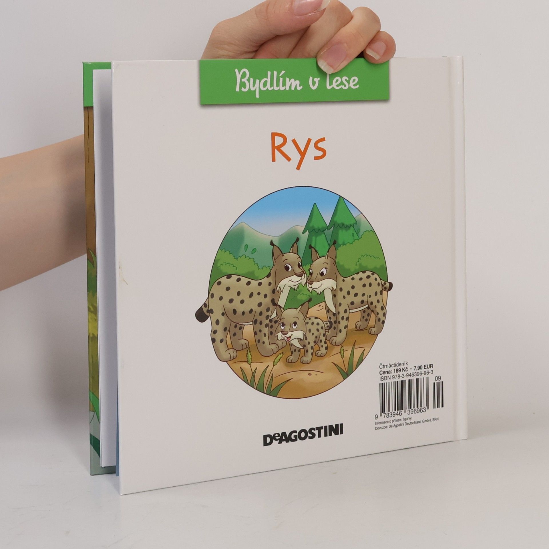 Autorenkollektiv Bydlím v lese 14. Rys
