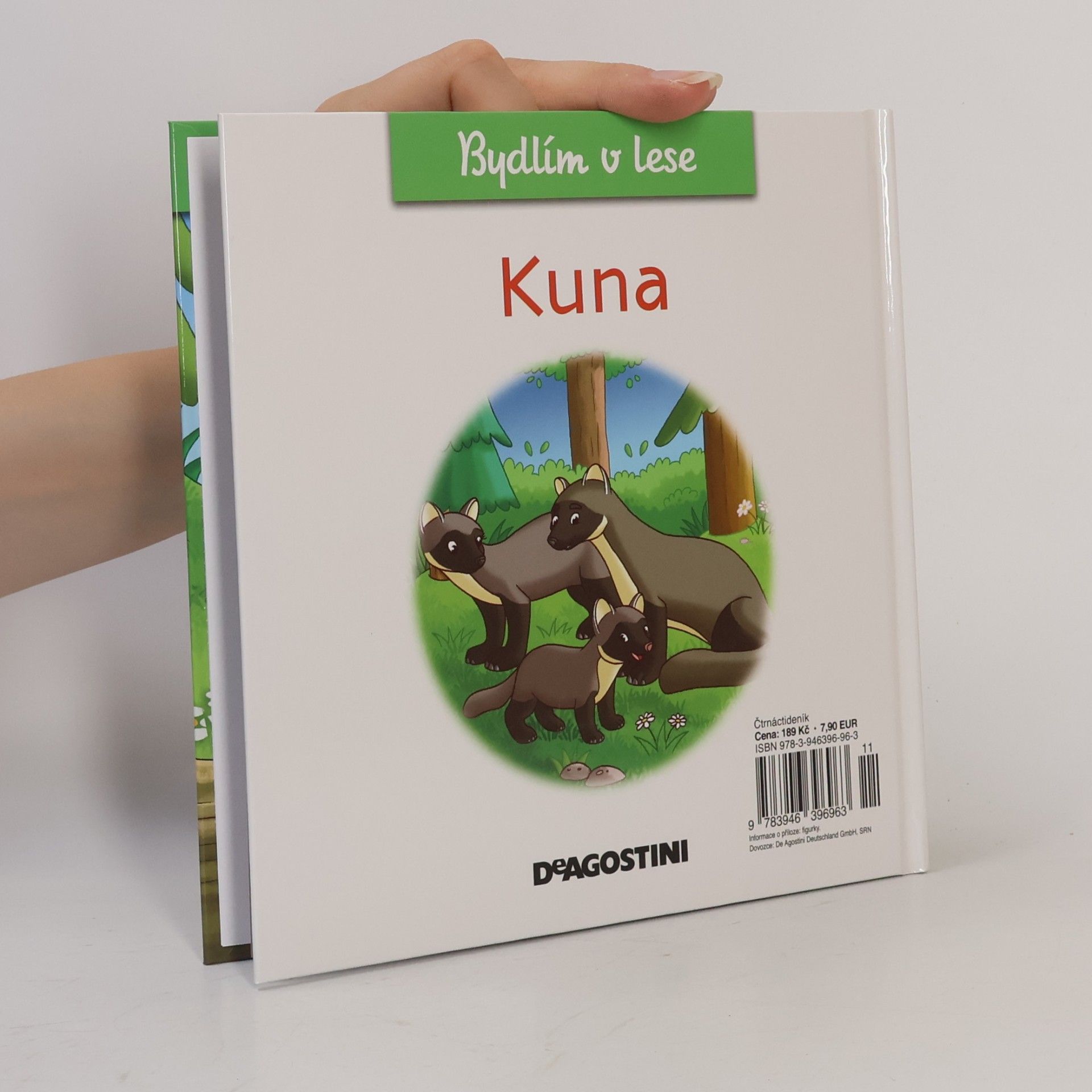 Petra Zavřelová Bydlím v lese 15. Kuna