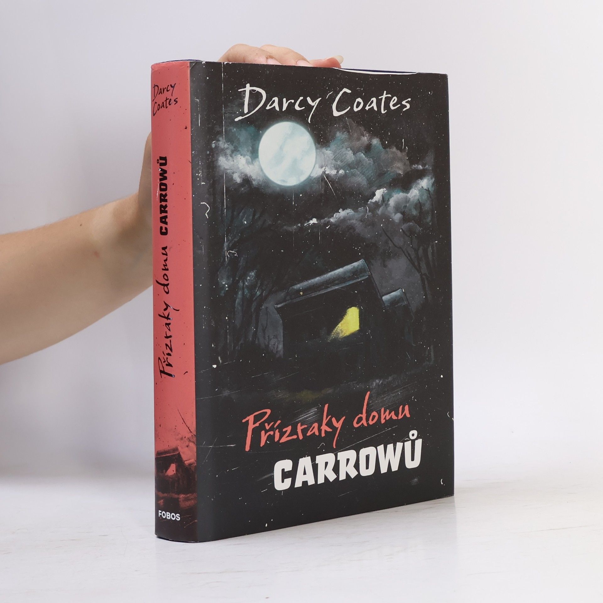 Darcy Coates Přízraky domu Carrowů