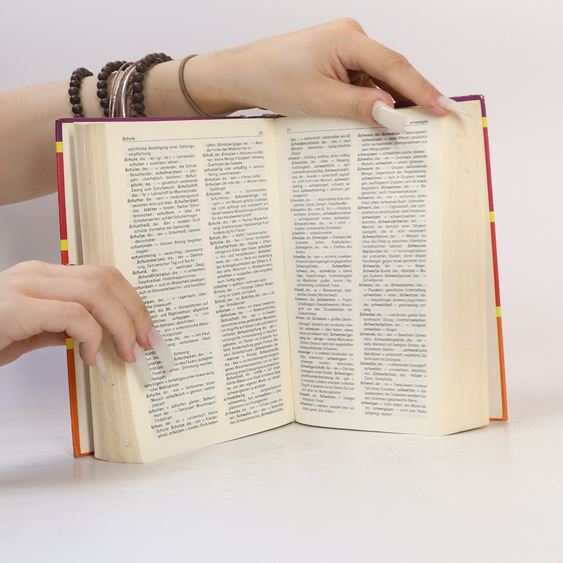 Autorenkollektiv Deutsches Wörterbuch Fremdwörterlexikon