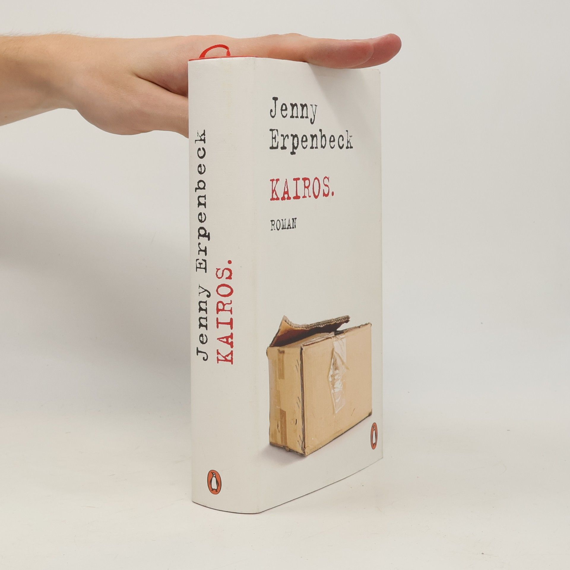 Jenny Erpenbeck Kairos