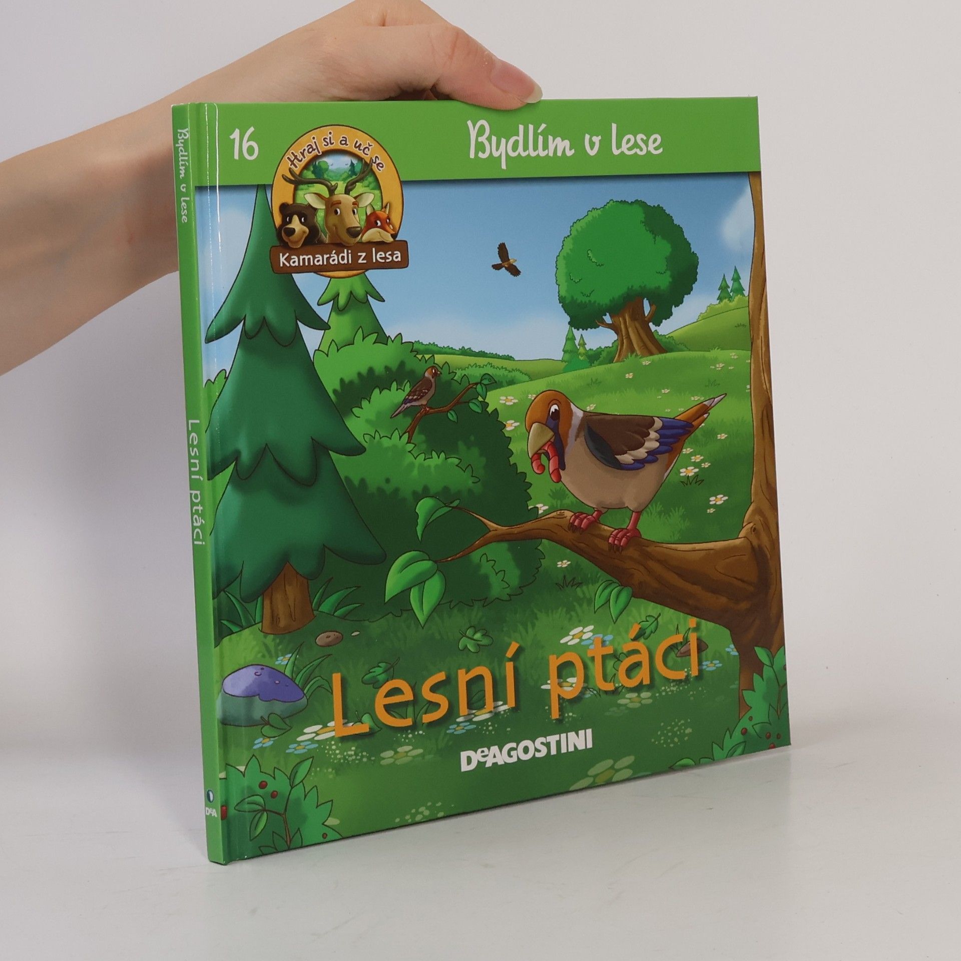 Petra Zavřelová Bydlím v lese 16. Lesní ptáci