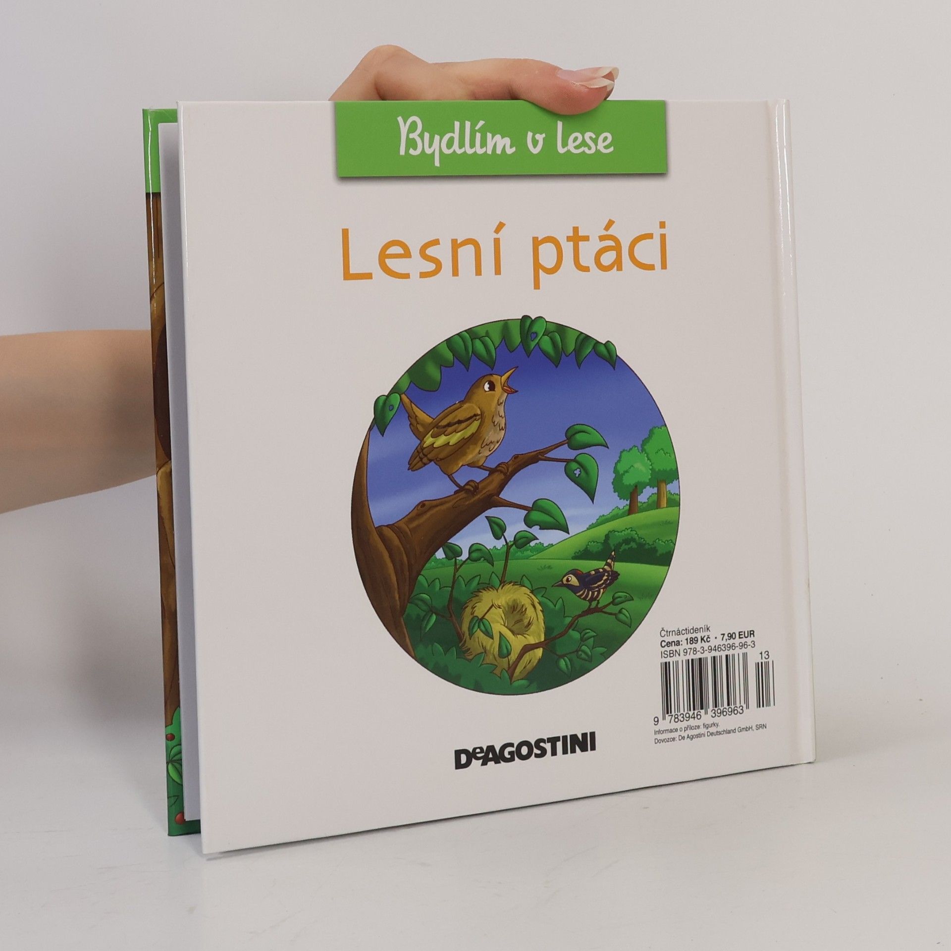 Petra Zavřelová Bydlím v lese 16. Lesní ptáci
