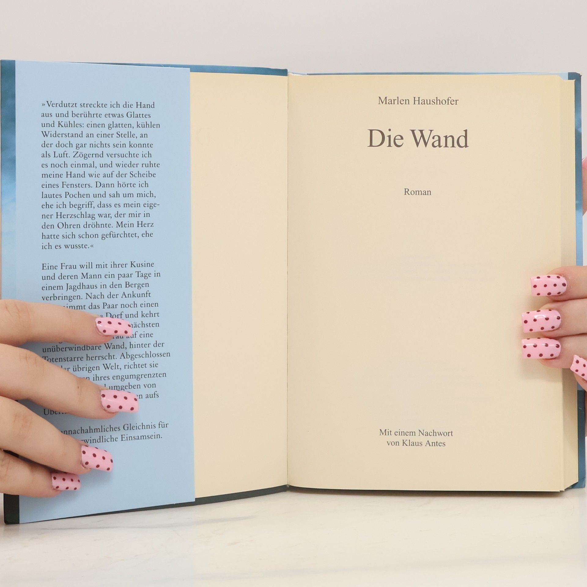 Marlen Haushofer Die Wand