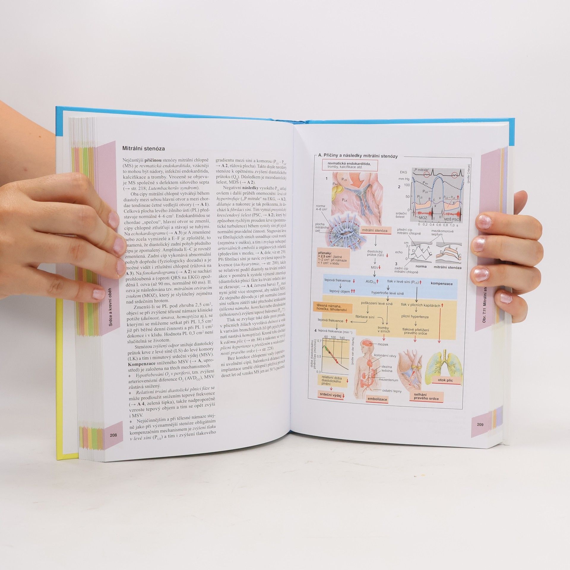 Stefan Silbernagl Atlas patofyziologie