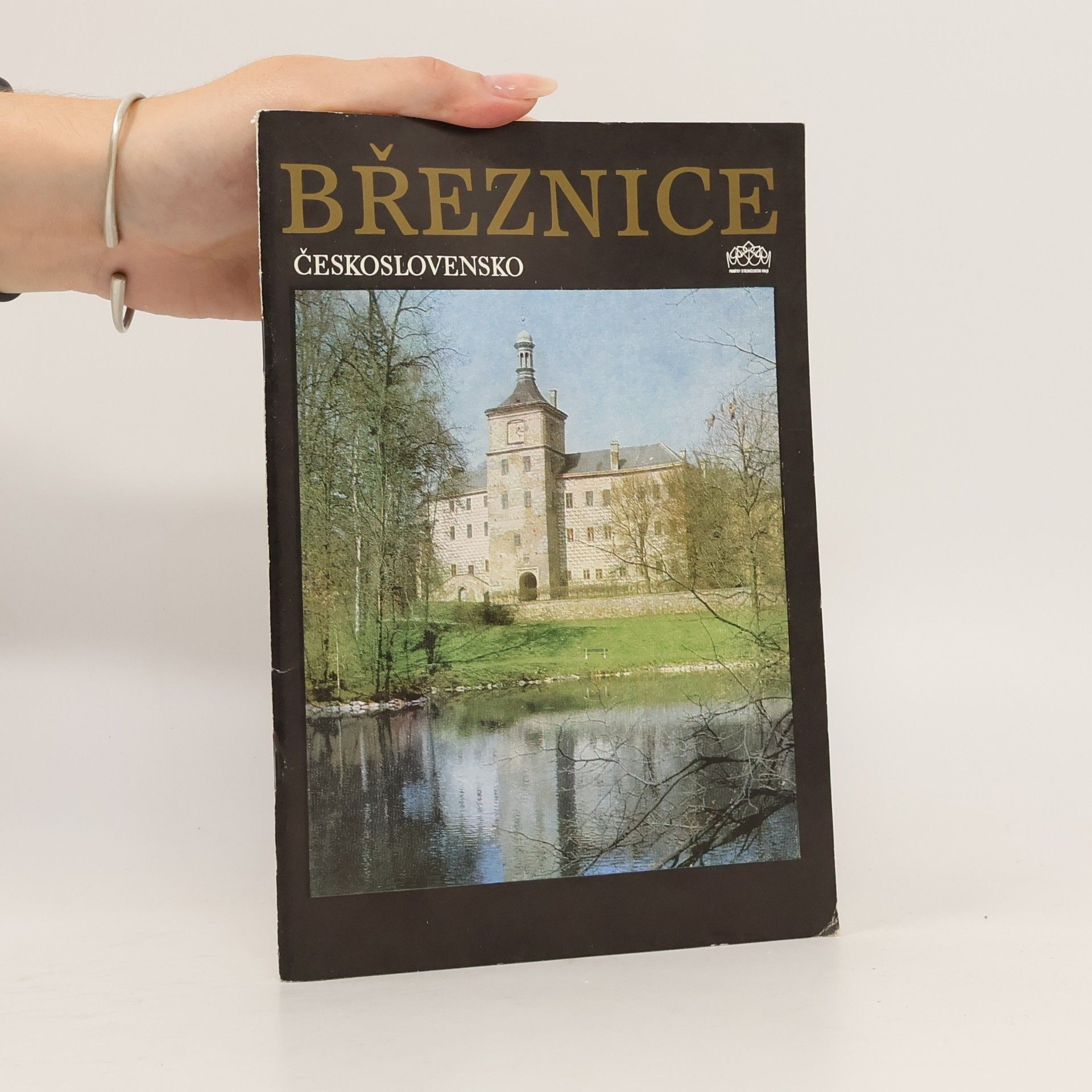 Josef Kopeček Březnice: Zámek, město a okolí