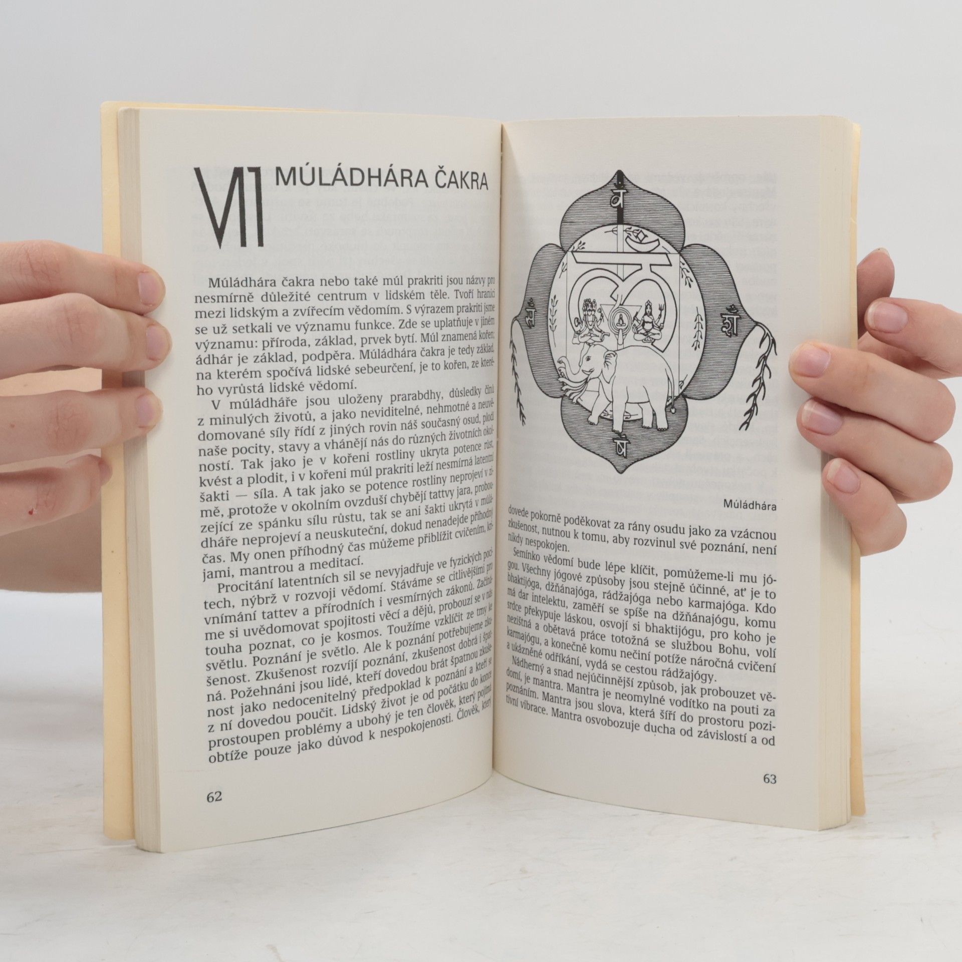 Paramhans Swami Maheshwarananda Skryté síly v člověku