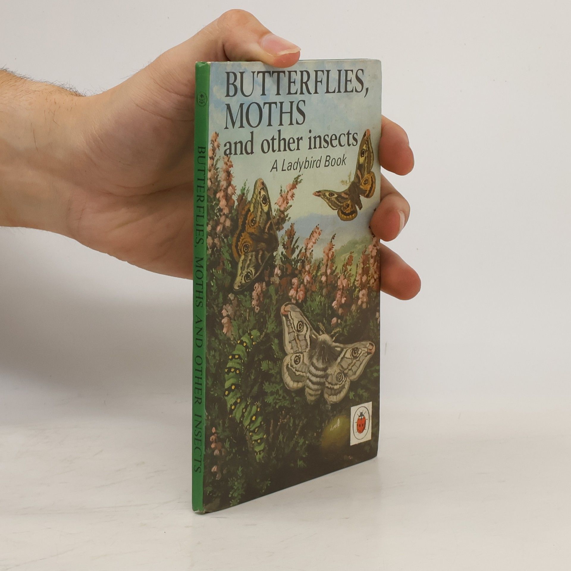 Stanley Arthur Manning Butterflies, Moths And Other Insects