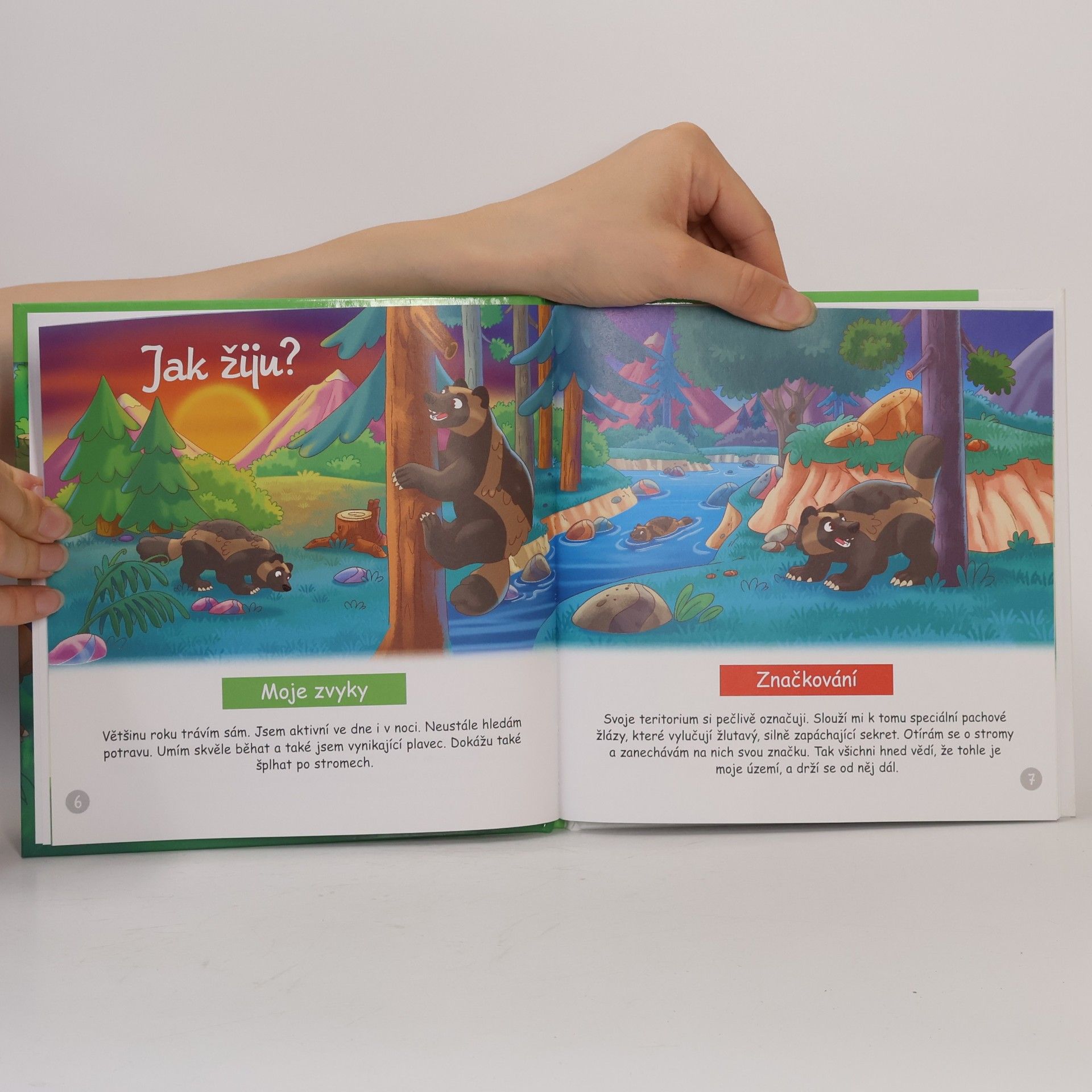 Autorenkollektiv Bydlím v lese 65. Rosomák