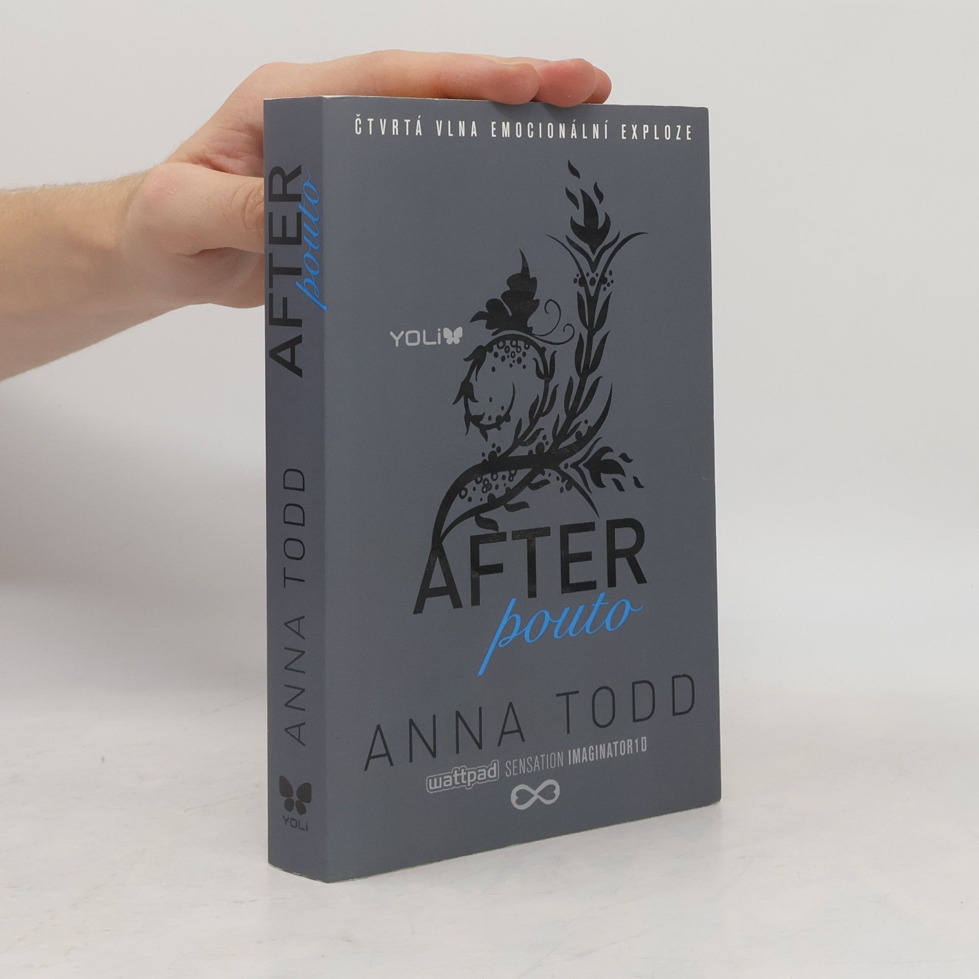 Anna Todd After. Pouto