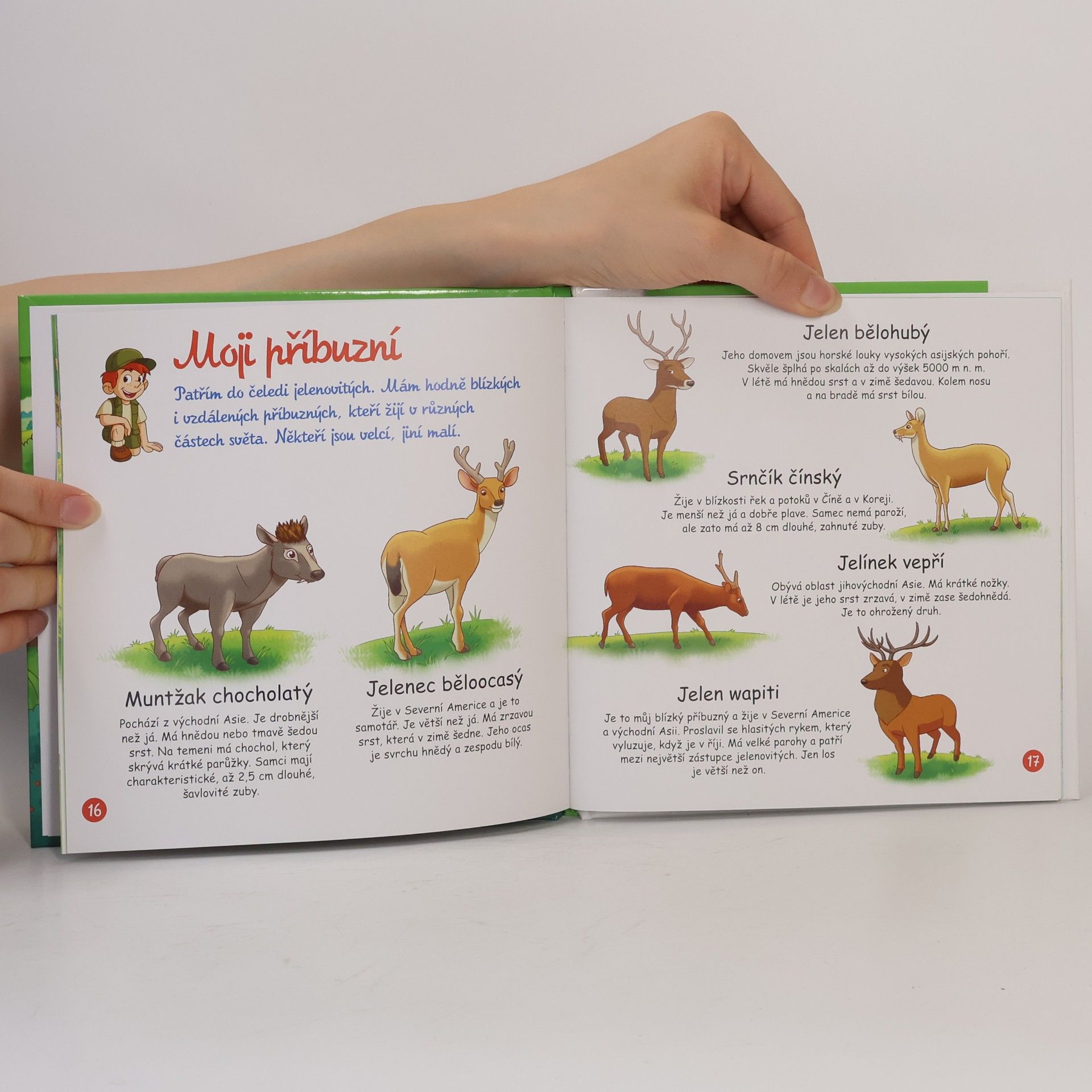 Autorenkollektiv Bydlím v lese 64. Daněk