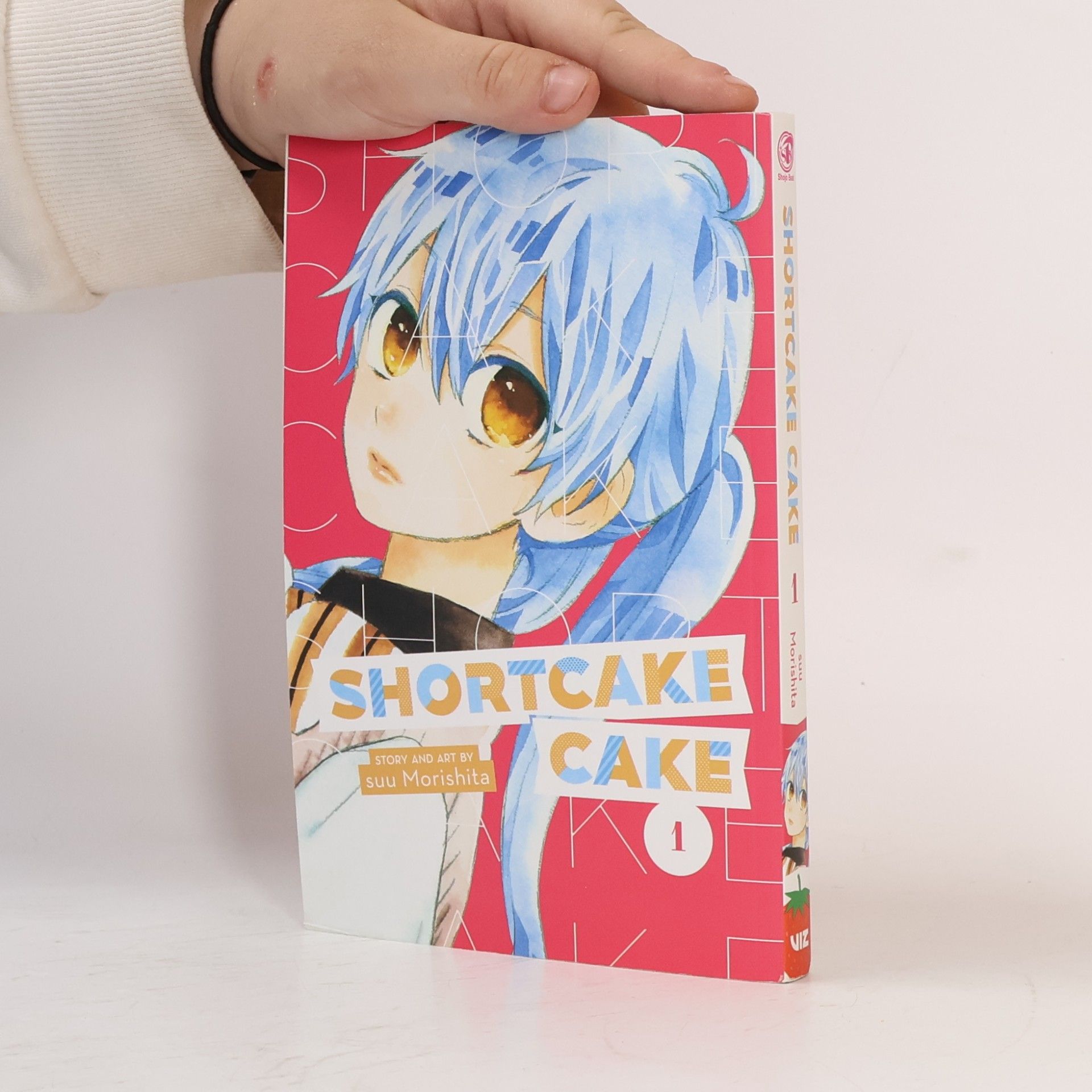 Shortcake Cake 1