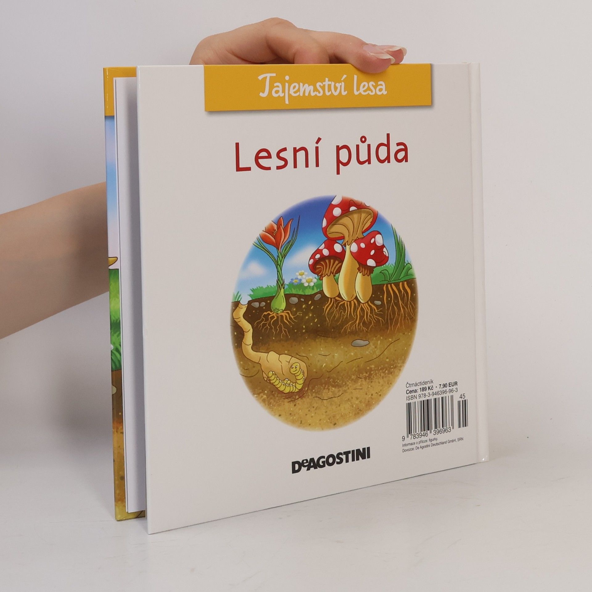 Kolektiv autorů Tajemství lesa 58. Lesní půda
